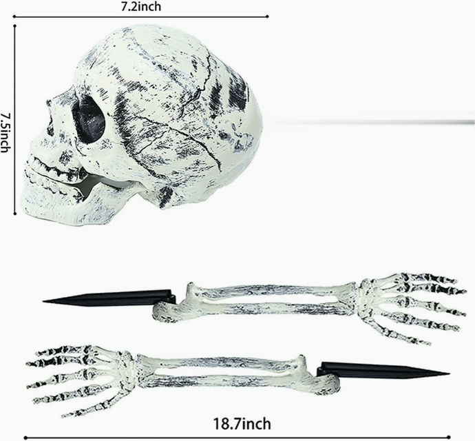 Skeleton Decoration in Garden Cemetery