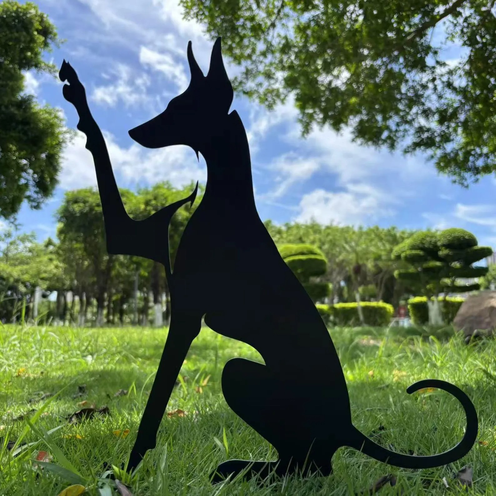 Podenco Dog High Five