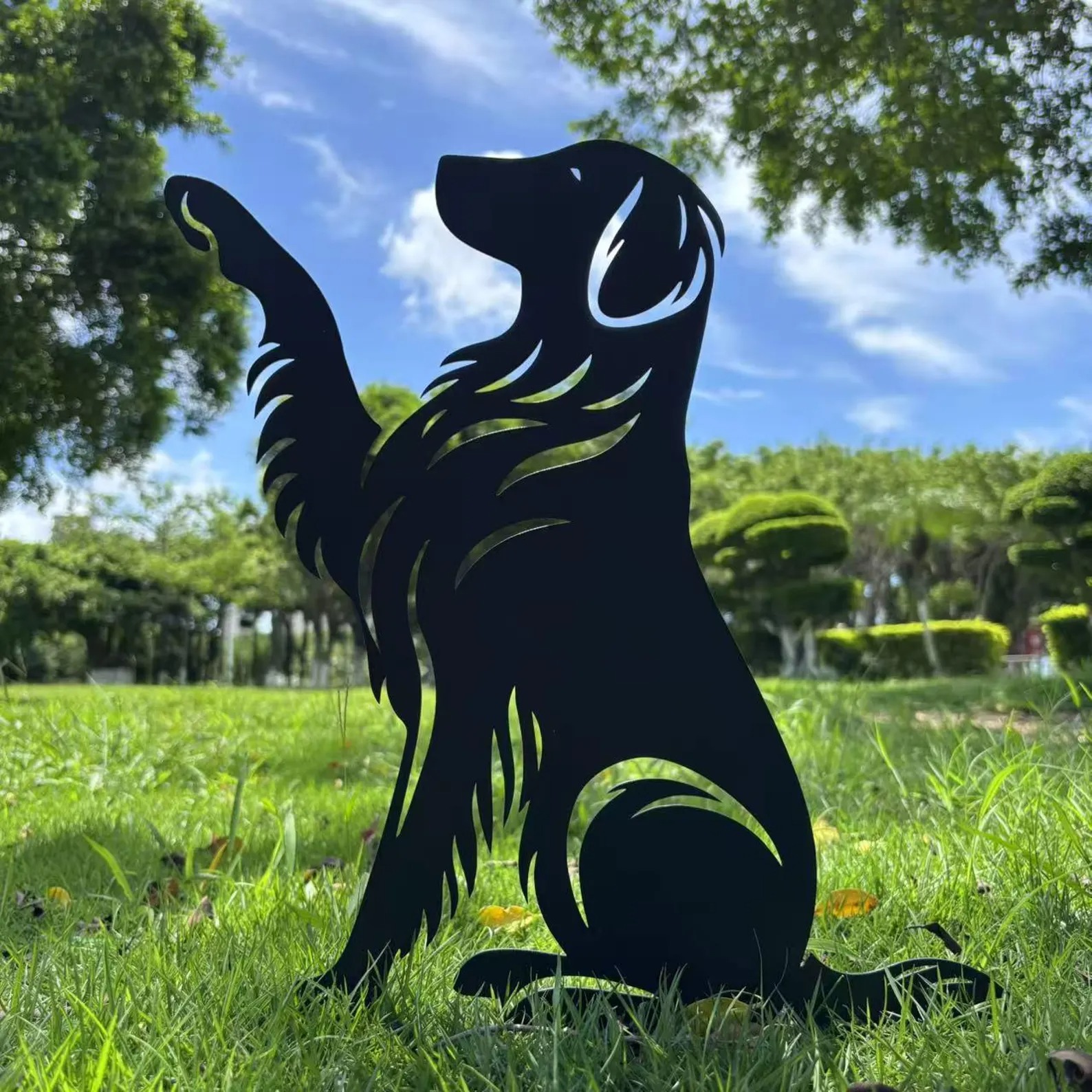 Flat-coated Retriever High Five