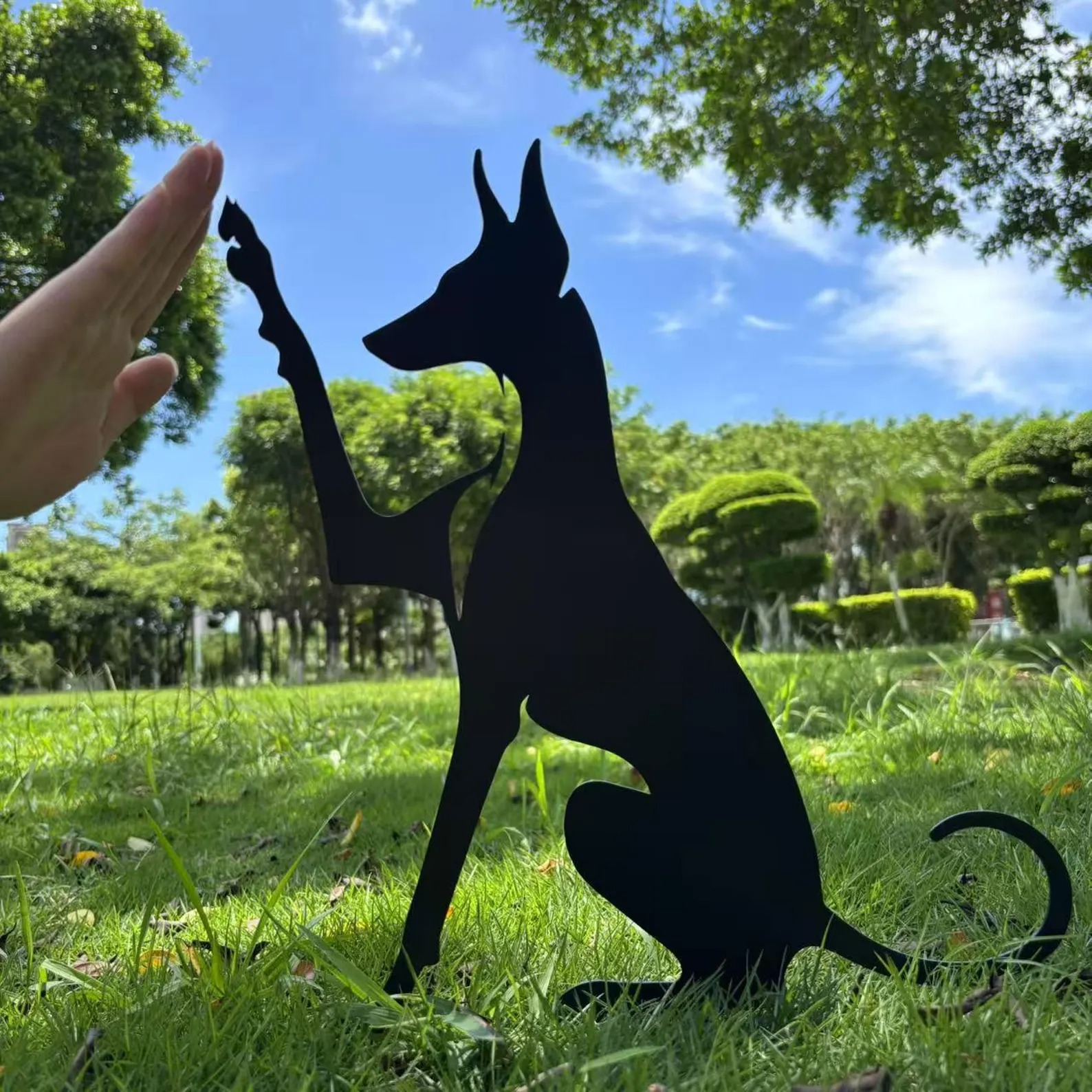 Podenco Dog High Five
