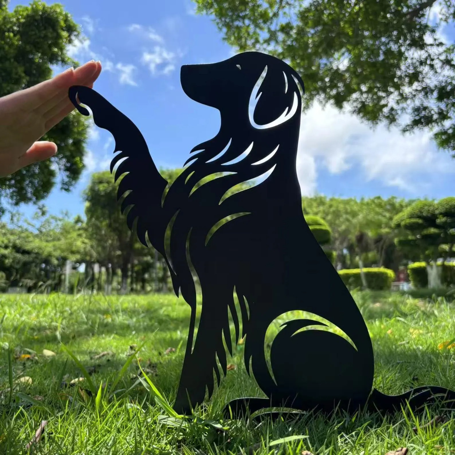 Flat-coated Retriever High Five