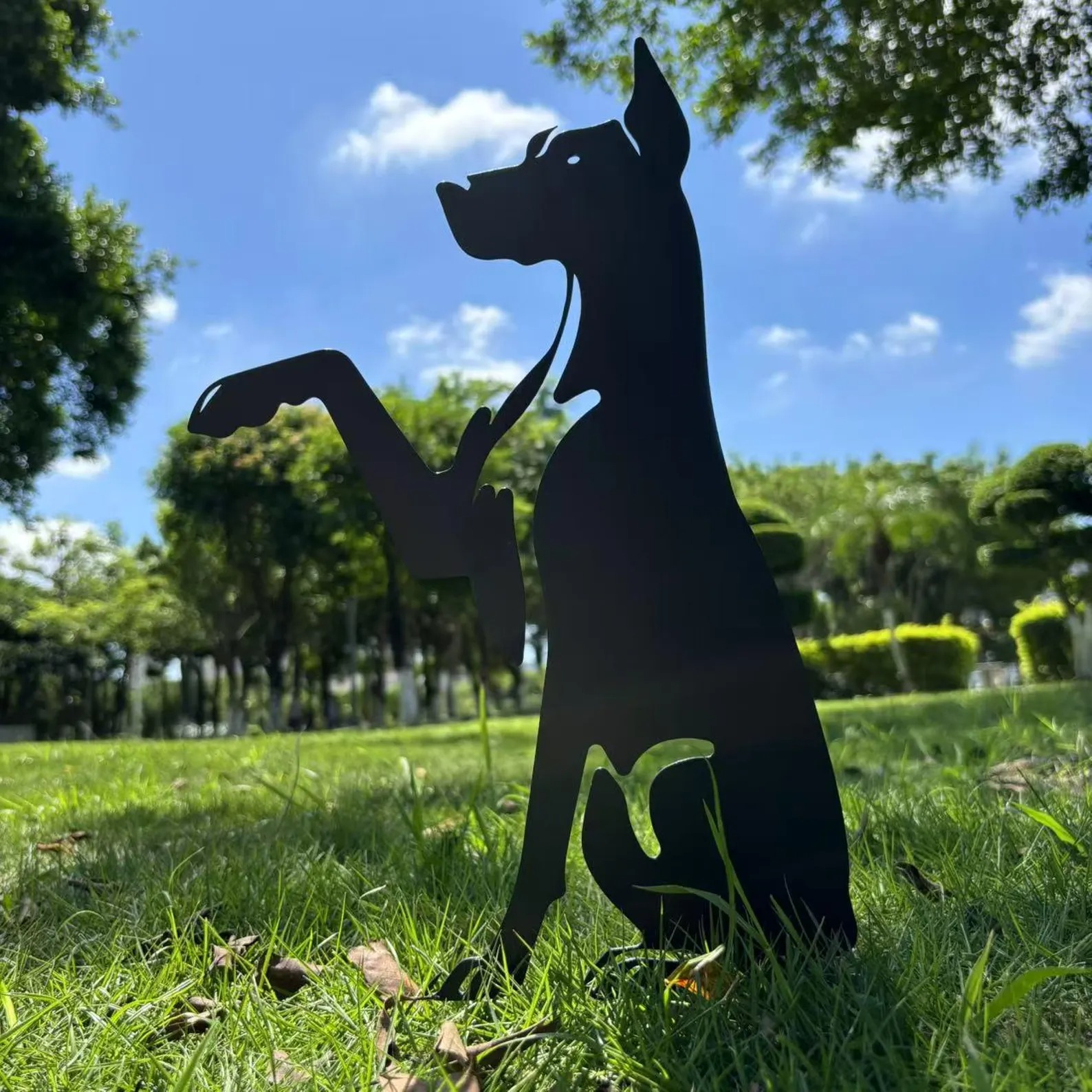 Doberman Pinscher High Five