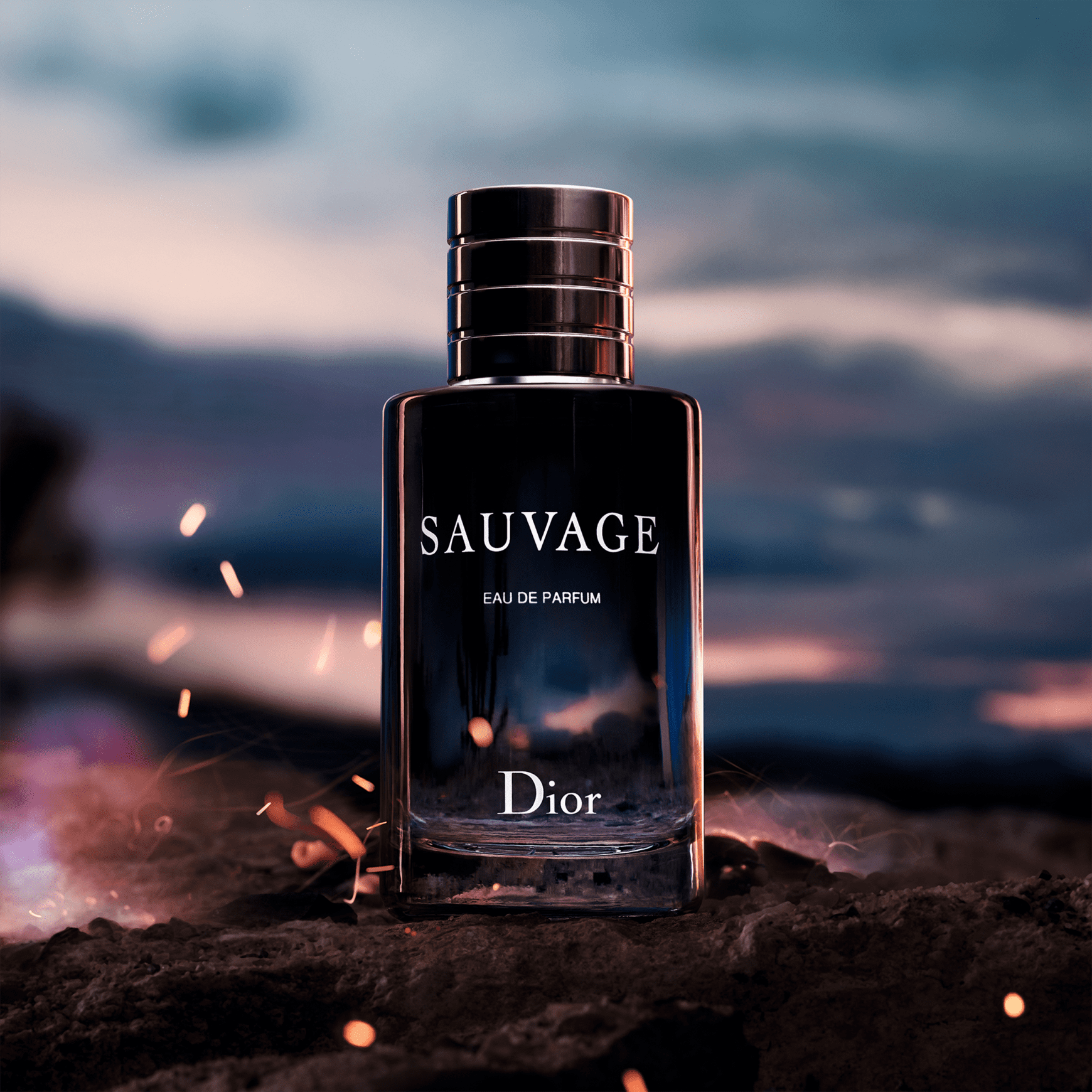 Perfume Sauvage Dior Masculino | Beautybox