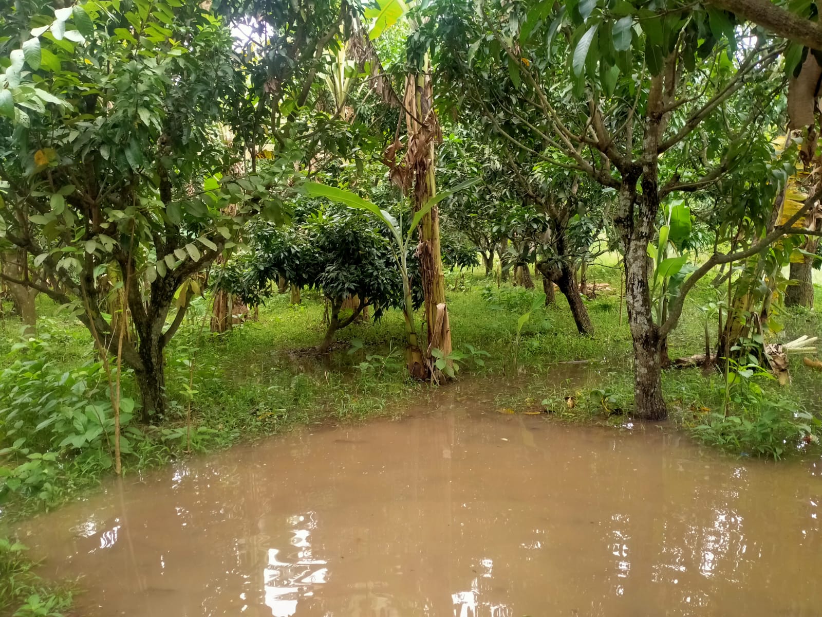 the shooting venue of the Bangladesh team was drowned by the rain-Wish From Africa-greetings from africa-blessings from africa-wishes from africa