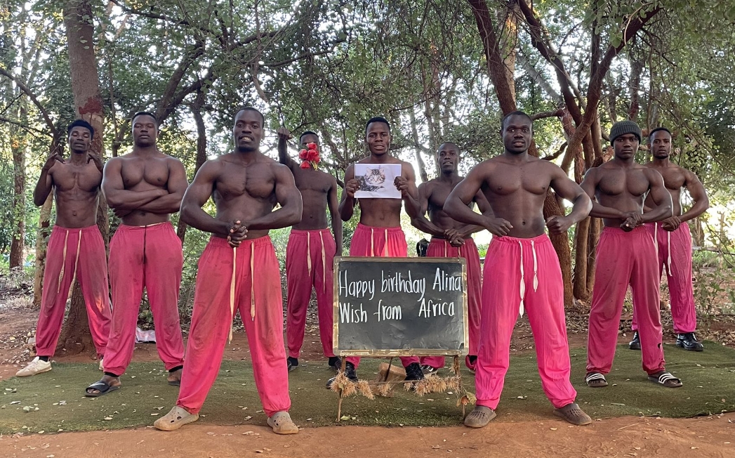 African Lion Pink-Wish From Africa-birthday wishes from africa-blessings from africa-greetings from africa