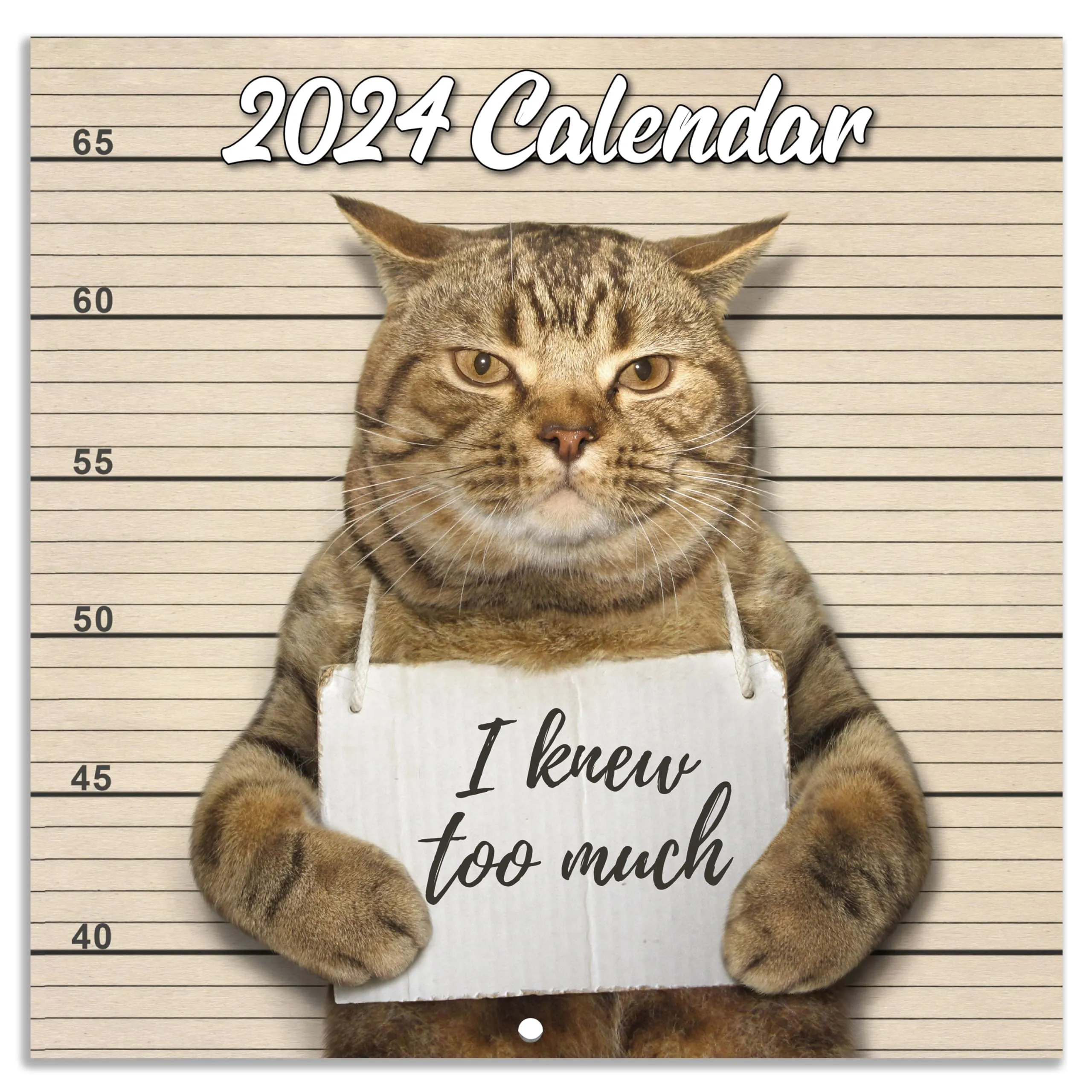 Funny Cat Calendar 2024