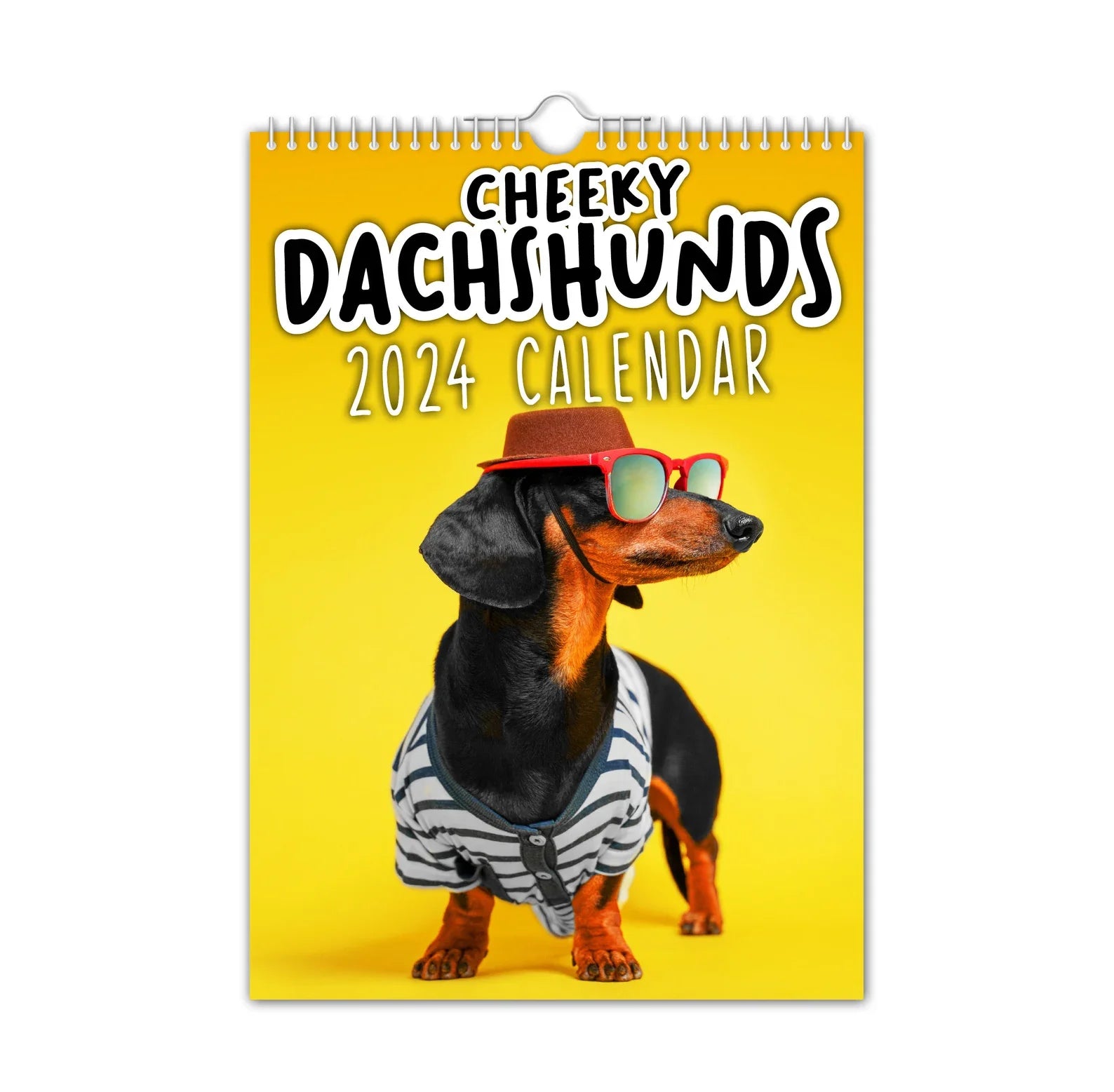 🤣Cheeky Dachshunds - 2024 Wall Calendar