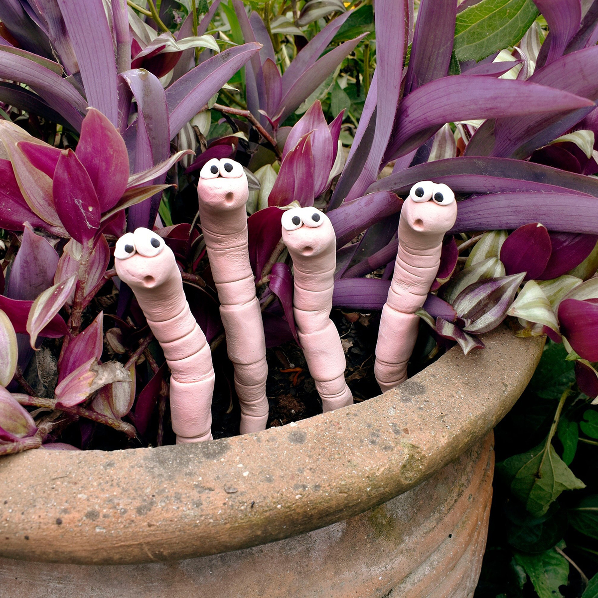 Thirsty Worm Moisture Monitor for Your Potted Plant (2-Pack)