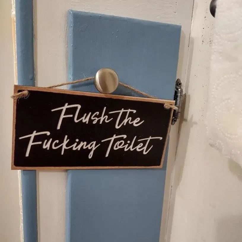 🤣Honey Dew Gifts - Flush the Fucking Toilet