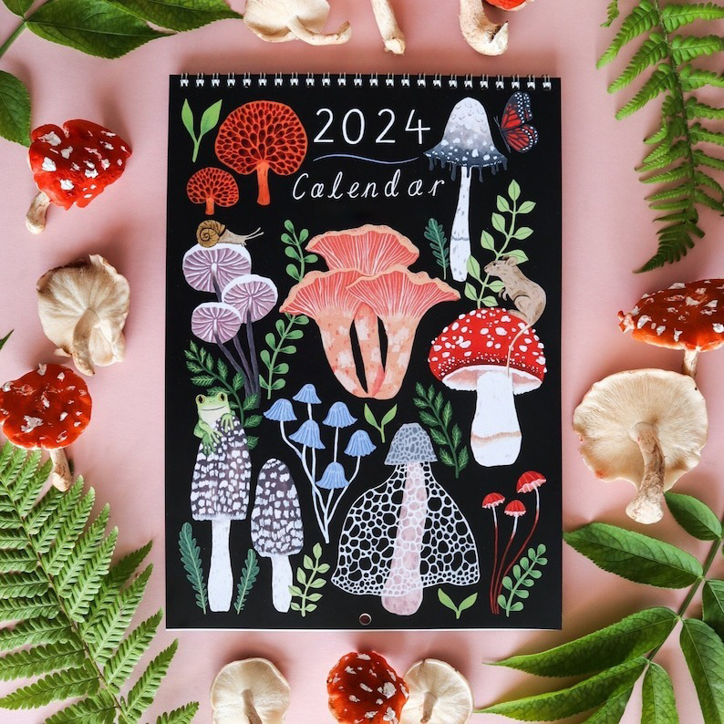 2024 Mushroom Illustrated Wall Calendar