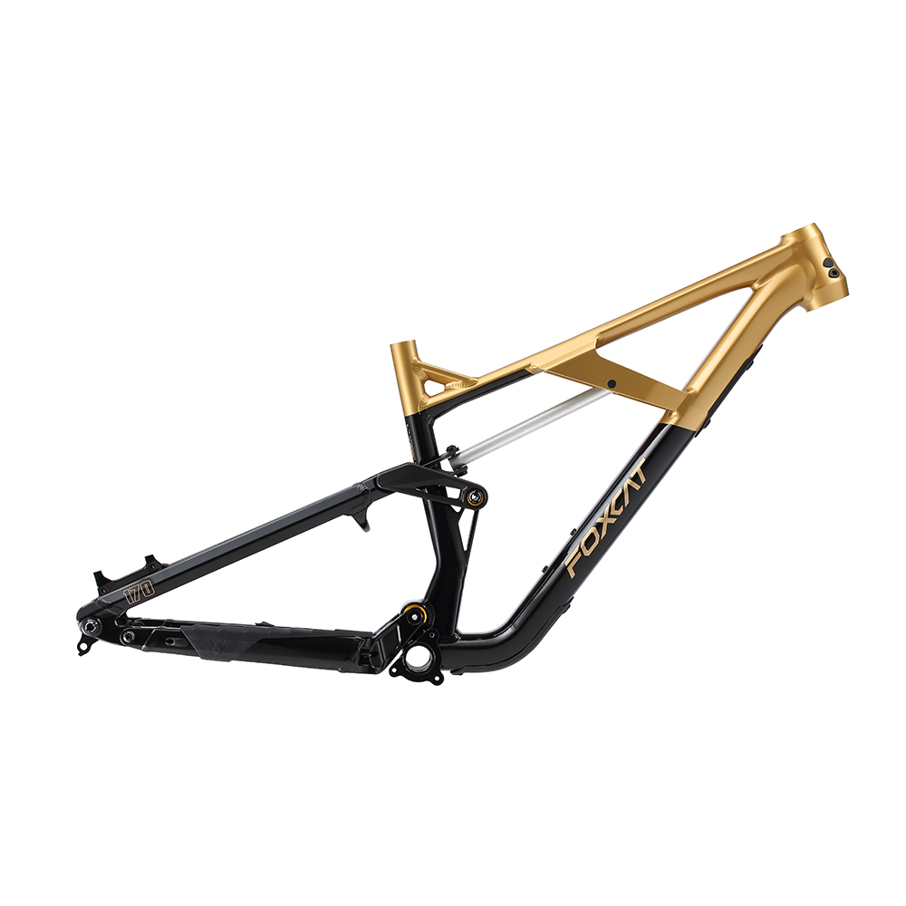 FOXCAT 170-2025-FRAME