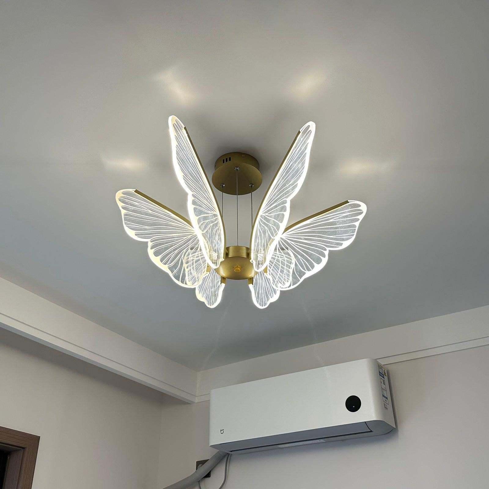 Phalaenopsis Chandelier with 3/6/8 heads-Sylvia Space