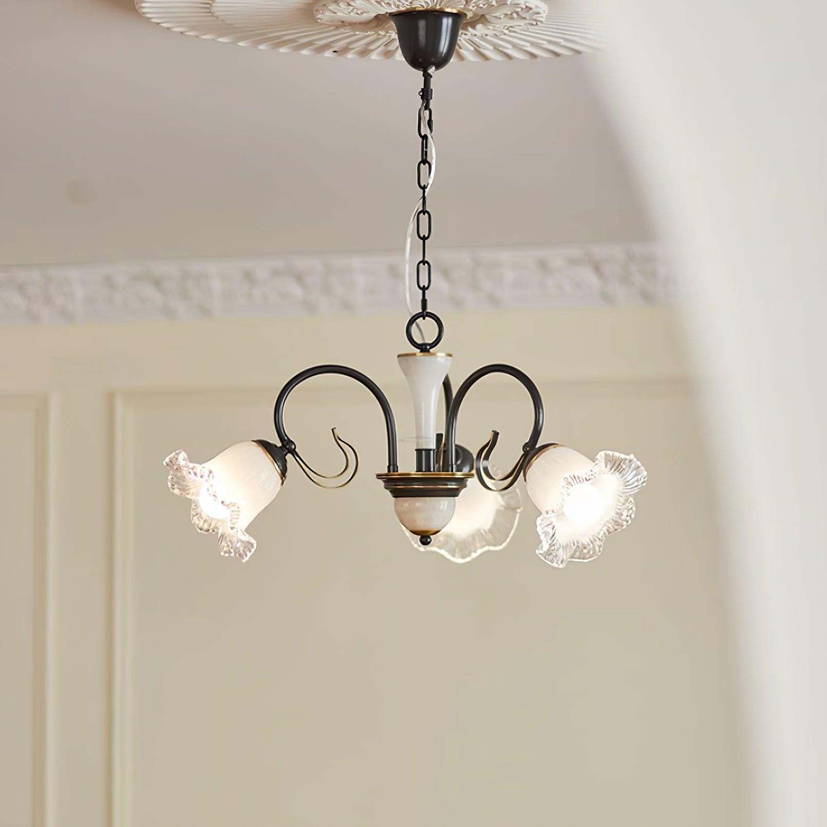 Luce Black Chandelier with 3/6/8 heads-Sylvia Space