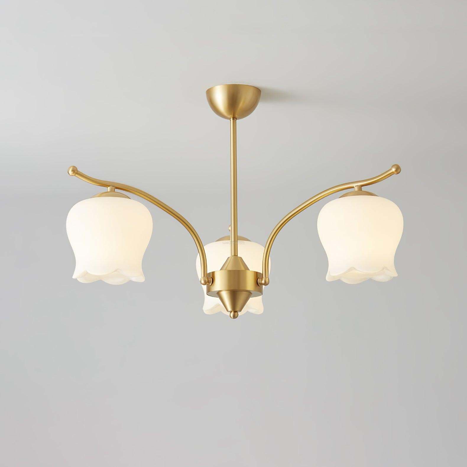 Tulip Brass Chandelier with 3/6/8 heads-Sylvia Space