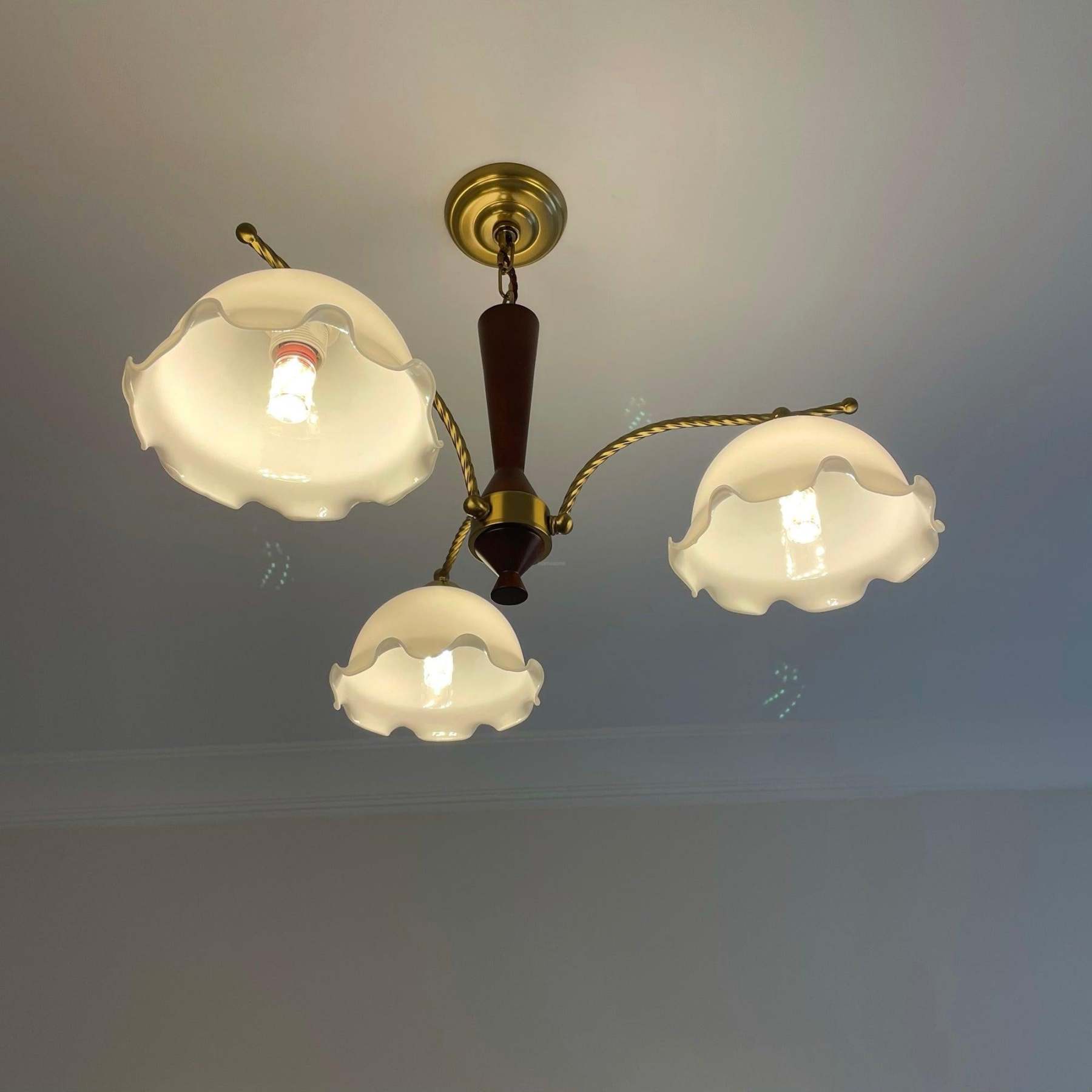 Milky Flower Chandelier ∅ 27.6″-Sylvia Space