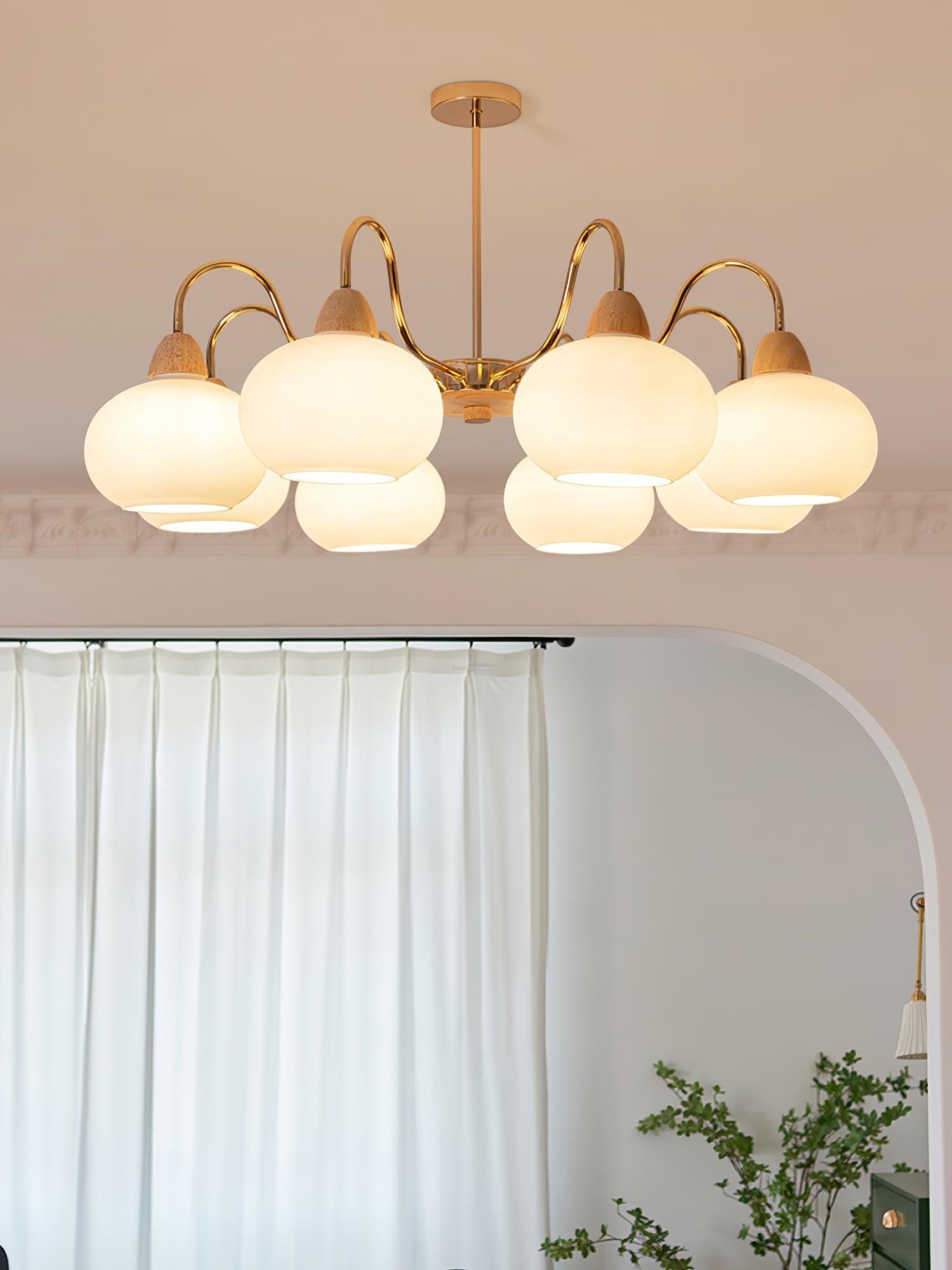 Glass Persimmon Chandelier with 3/5/6/8 heads-Sylvia Space