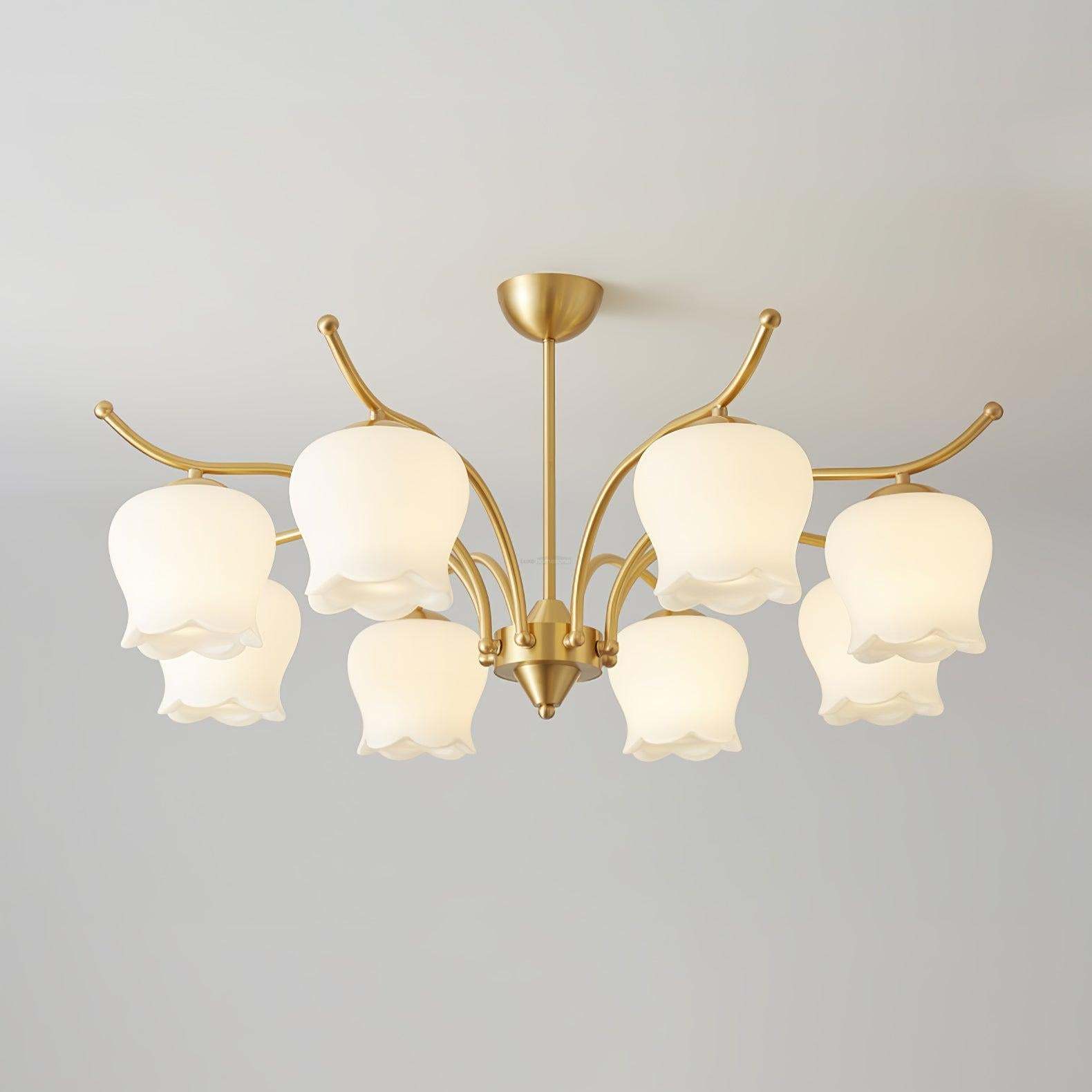 Tulip Brass Chandelier with 3/6/8 heads-Sylvia Space