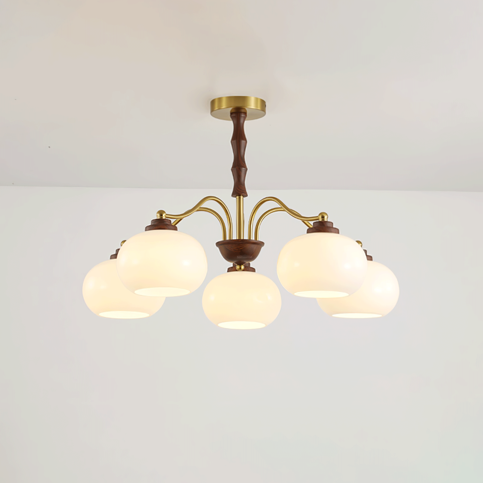 Persimmon Glass Globe Chandelier with 3/5/8 heads-Sylvia Space