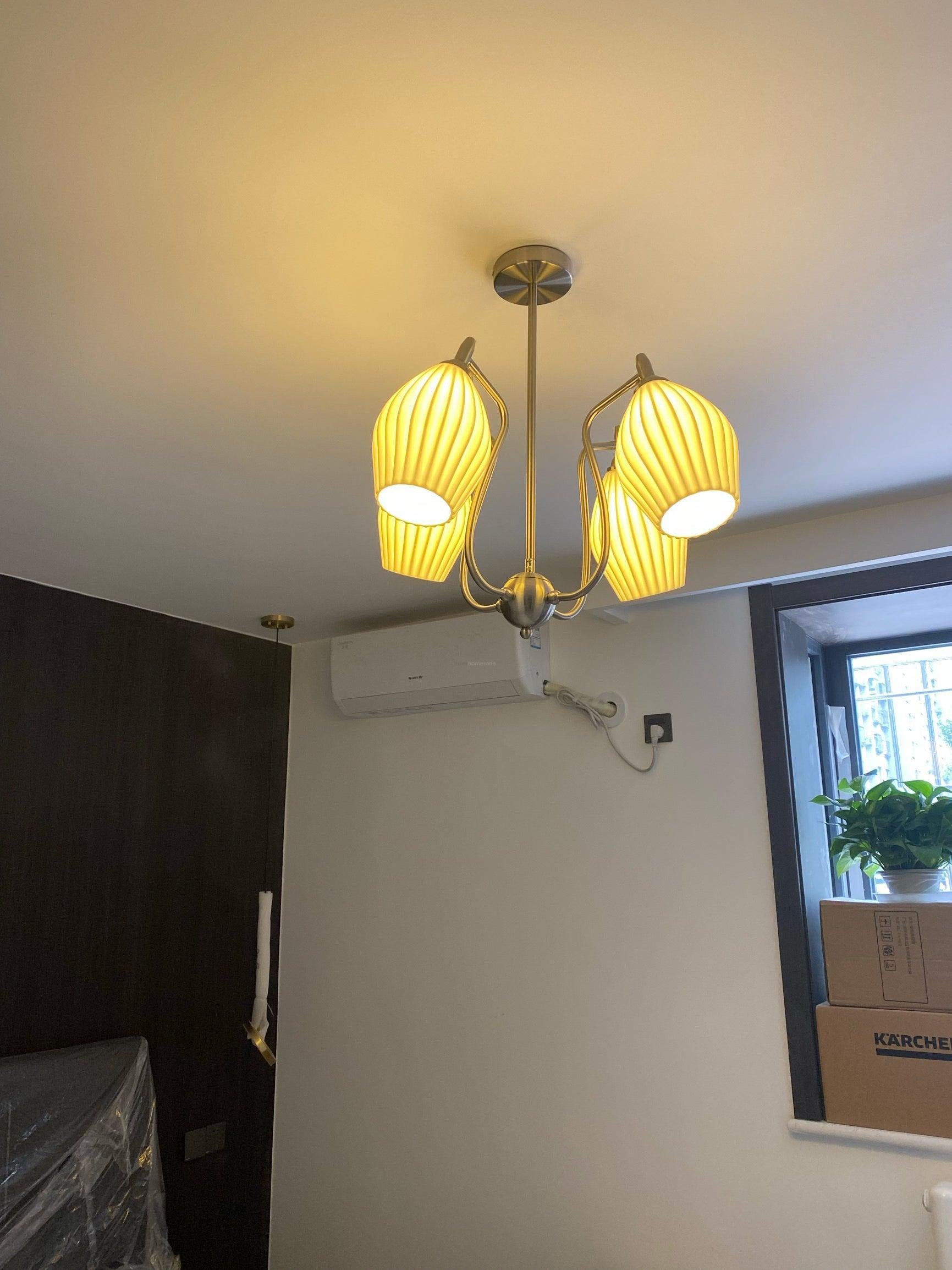 Ceramic Ribbed Chandelier with 4/6/8 heads-Sylvia Space