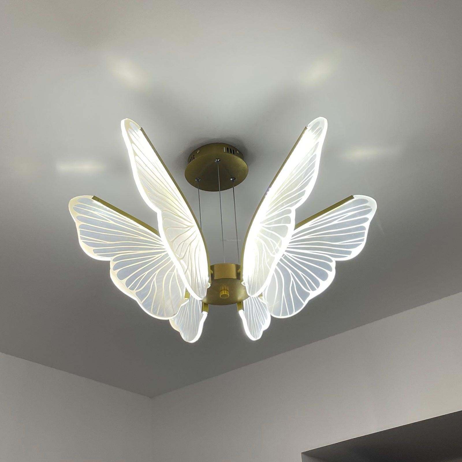 Phalaenopsis Chandelier with 3/6/8 heads-Sylvia Space