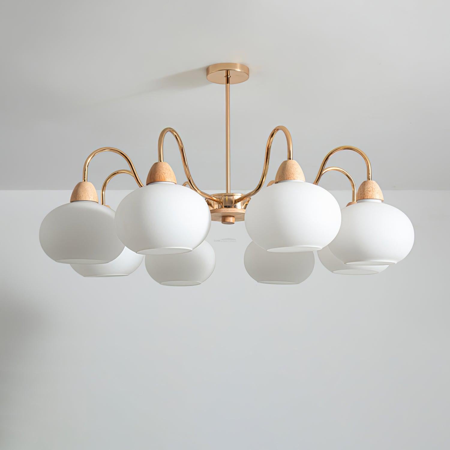 Glass Persimmon Chandelier with 3/5/6/8 heads-Sylvia Space