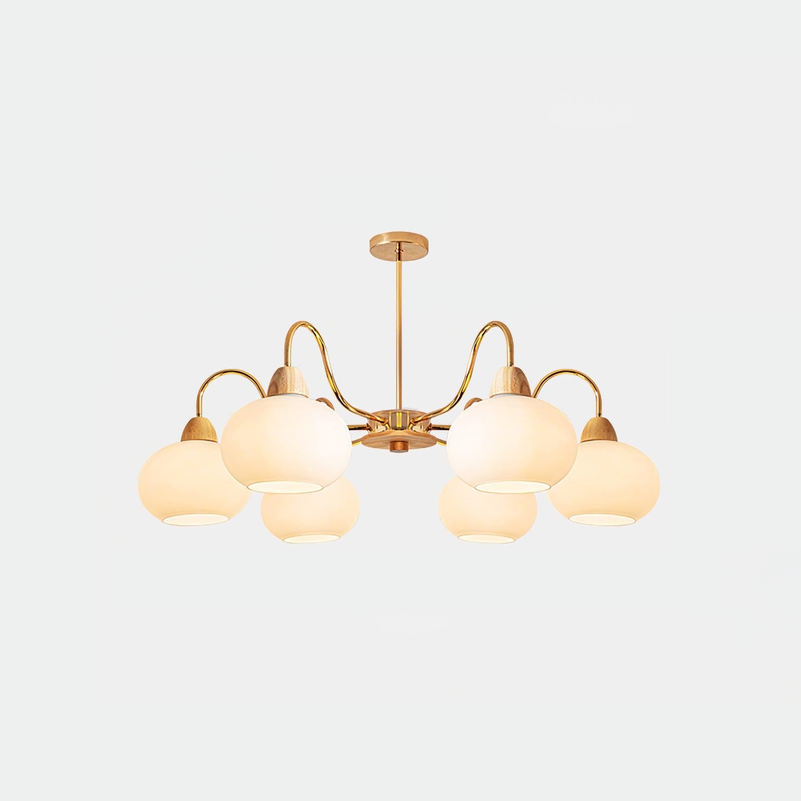Glass Persimmon Chandelier with 3/5/6/8 heads-Sylvia Space