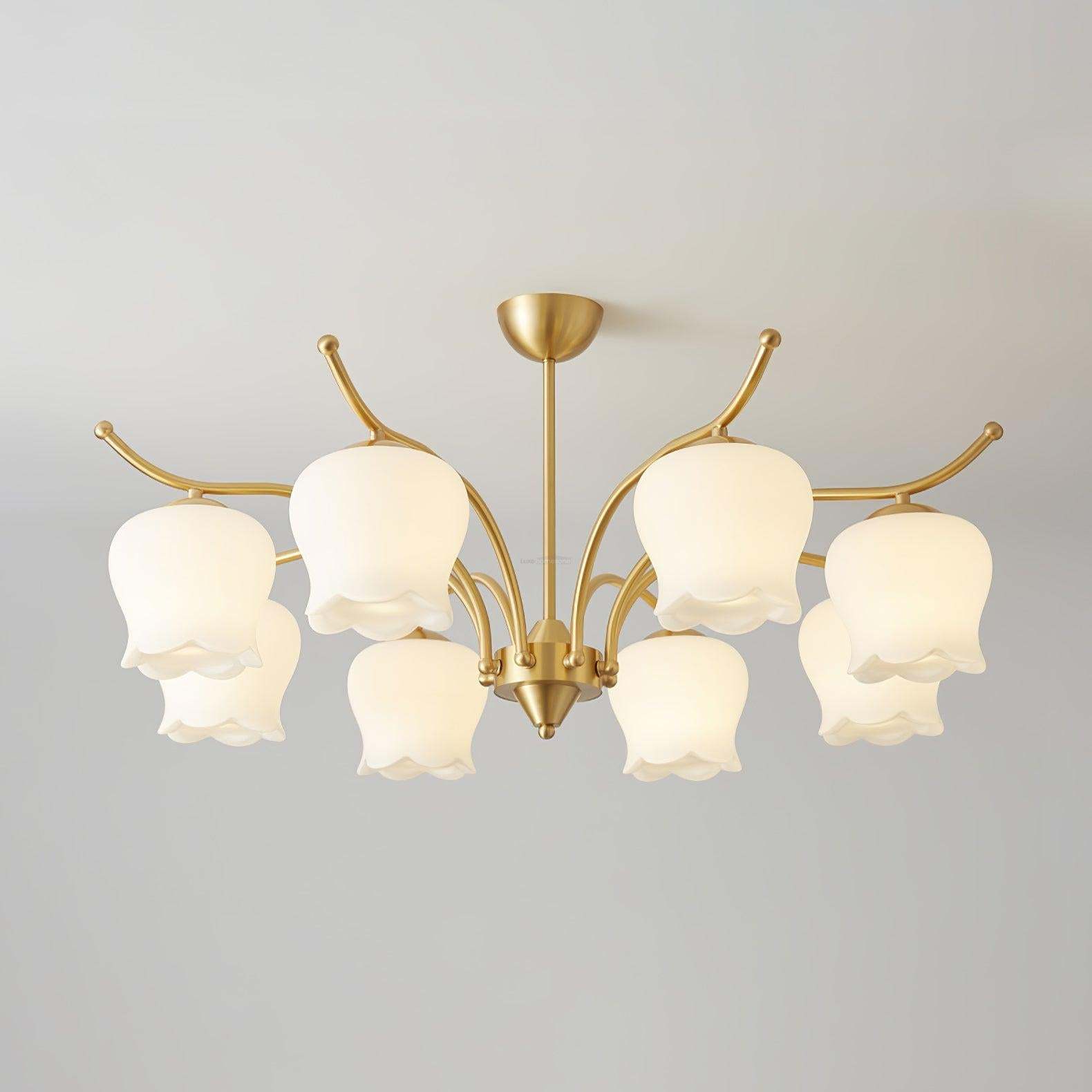 Tulip Brass Chandelier with 3/6/8 heads-Sylvia Space