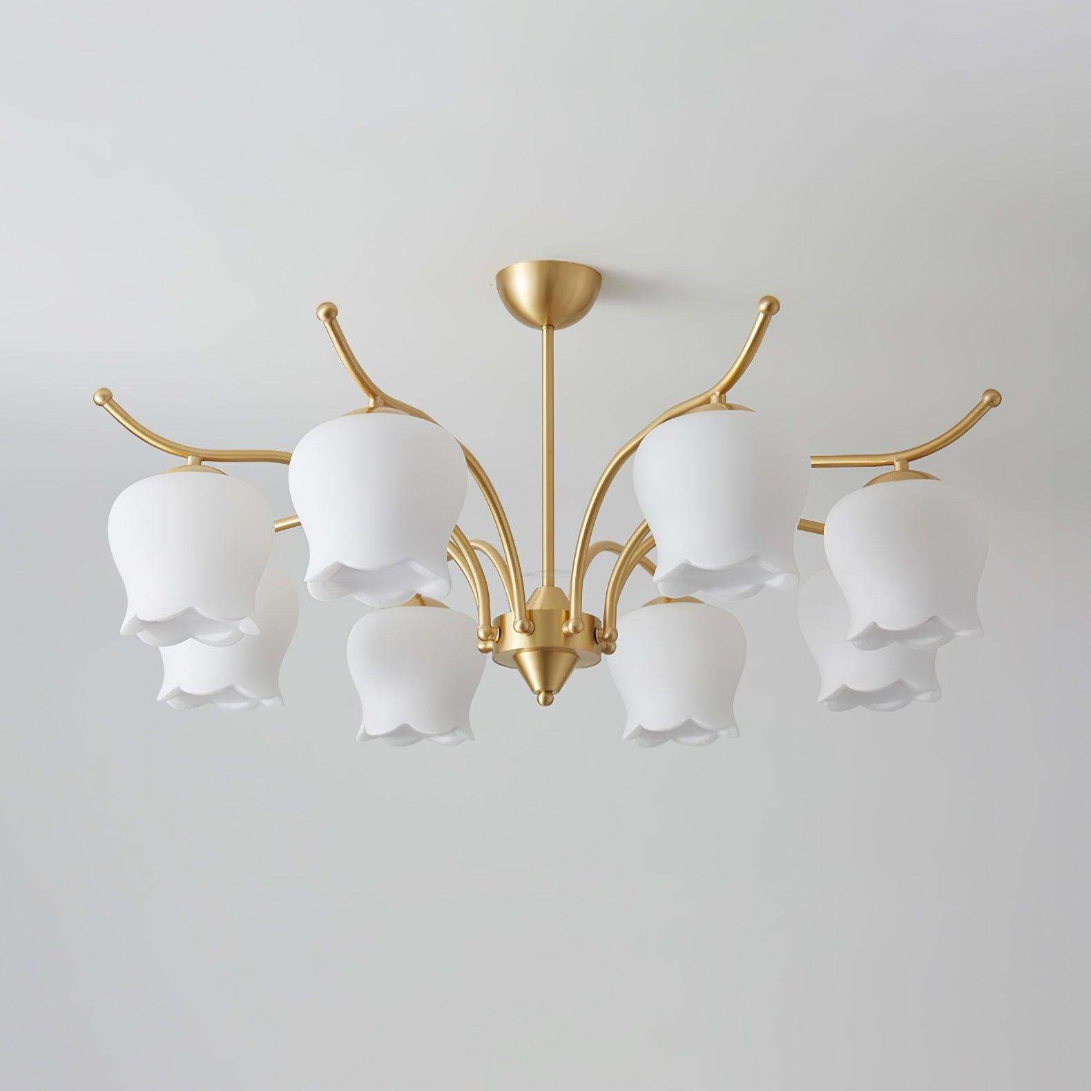 Tulip Brass Chandelier with 3/6/8 heads-Sylvia Space