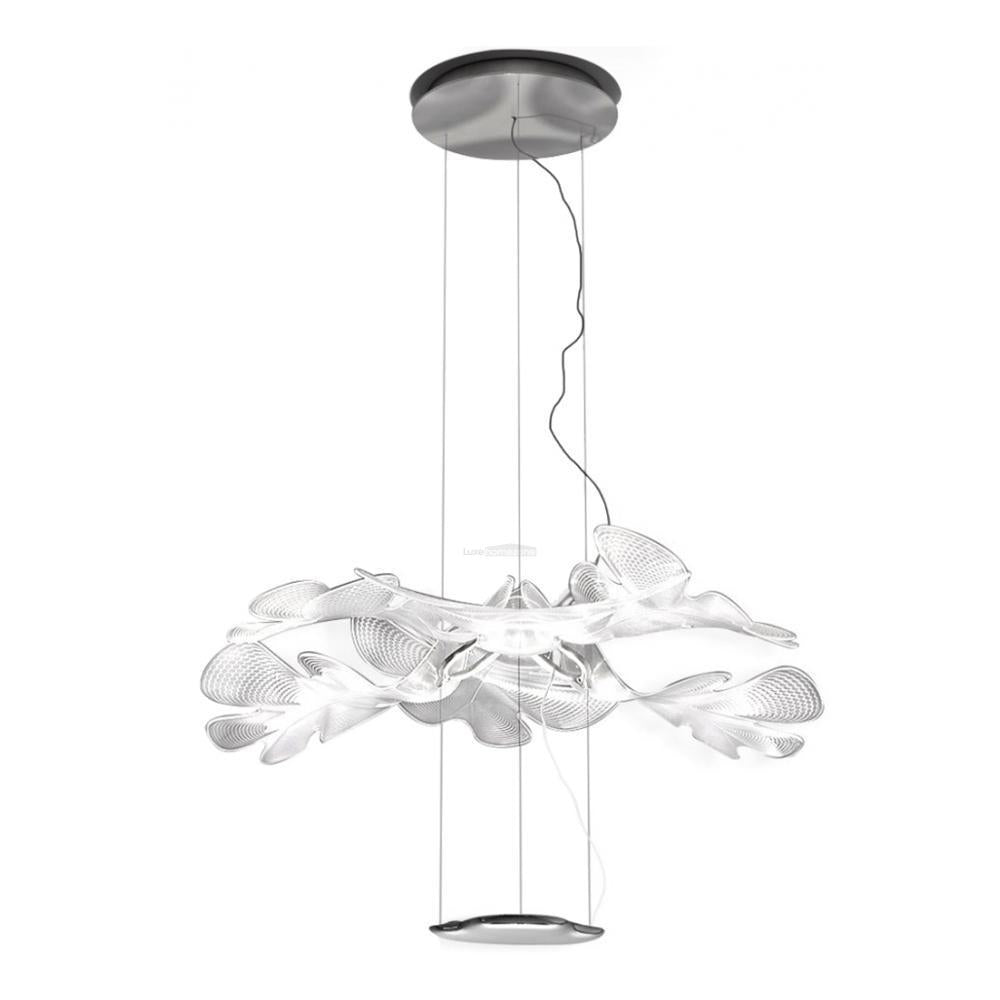 Chlorophilia Chandelier-Sylvia Space