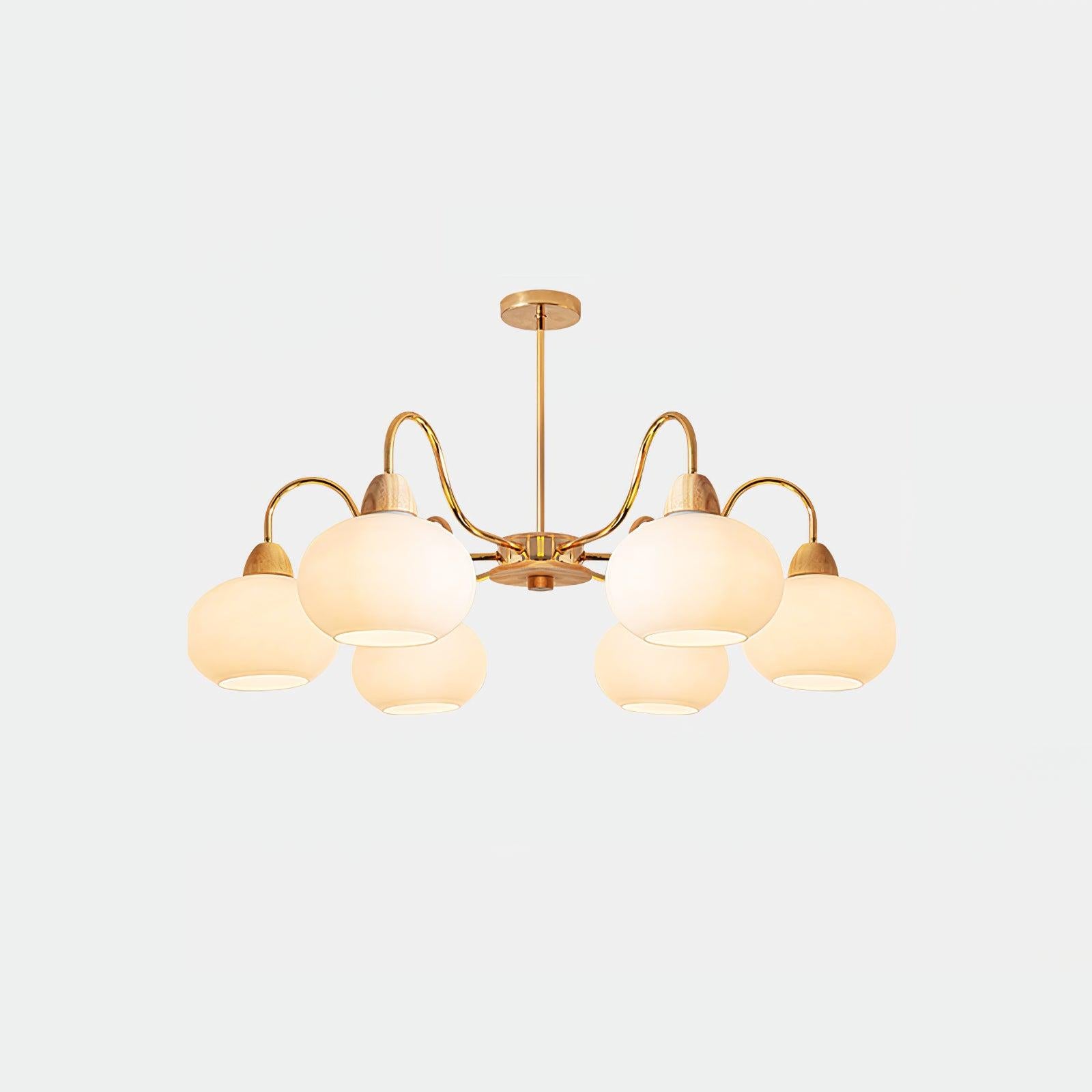 Glass Persimmon Chandelier with 3/5/6/8 heads-Sylvia Space