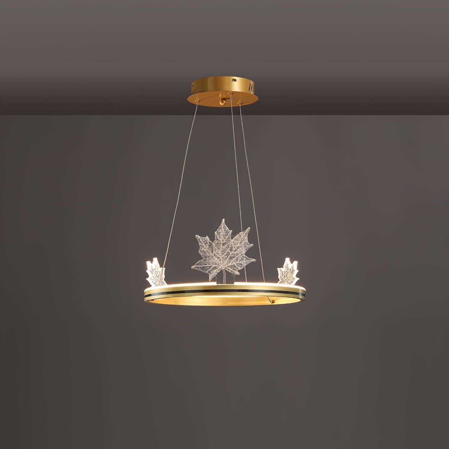 Ion Leaf Ring Chandelier-Sylvia Space