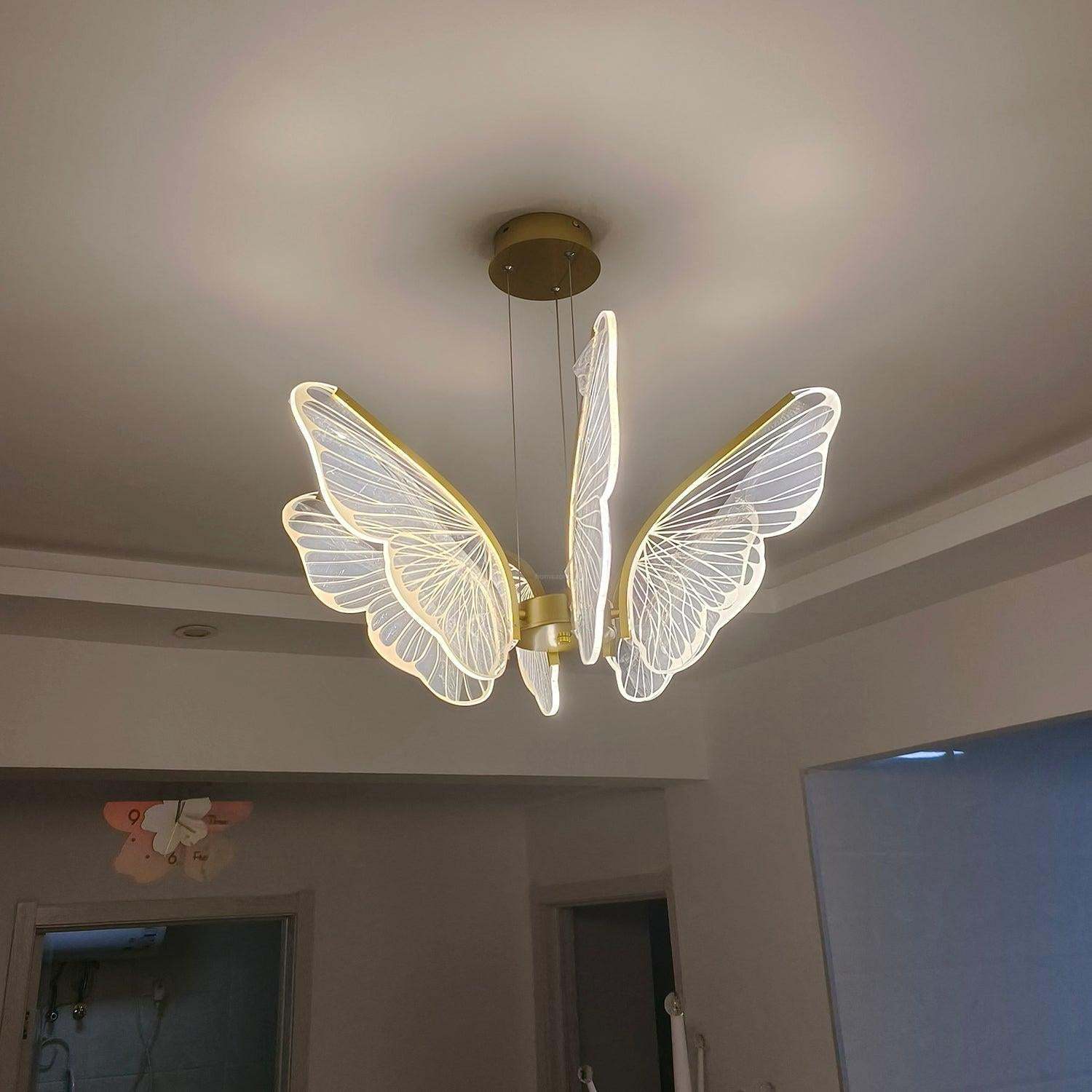 Phalaenopsis Chandelier with 3/6/8 heads-Sylvia Space