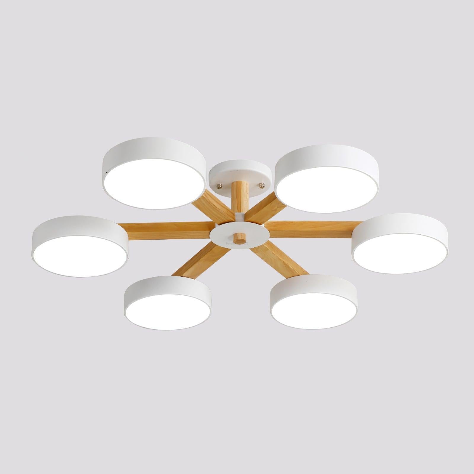 Modern Multi Stem Chandelier with 5/6/8 heads-Sylvia Space