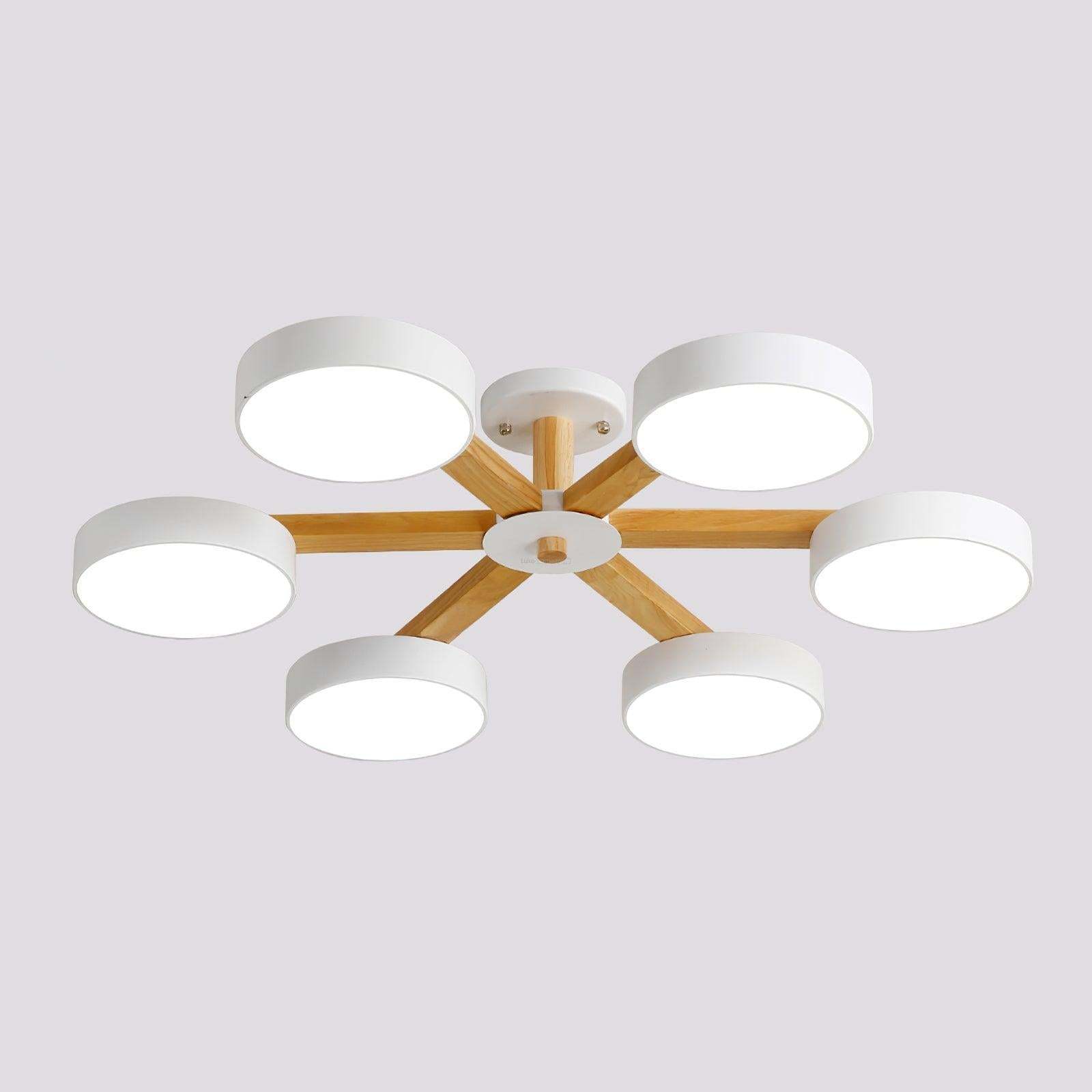 Modern Multi Stem Chandelier with 5/6/8 heads-Sylvia Space