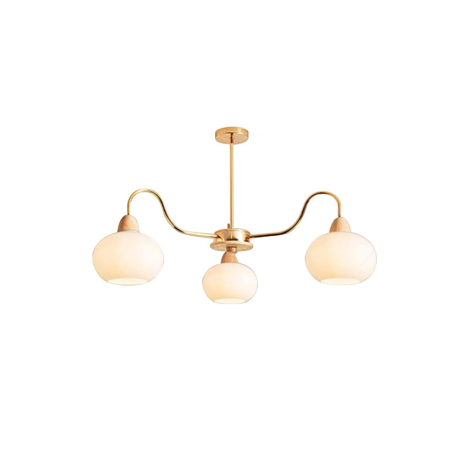 Glass Persimmon Chandelier with 3/5/6/8 heads-Sylvia Space