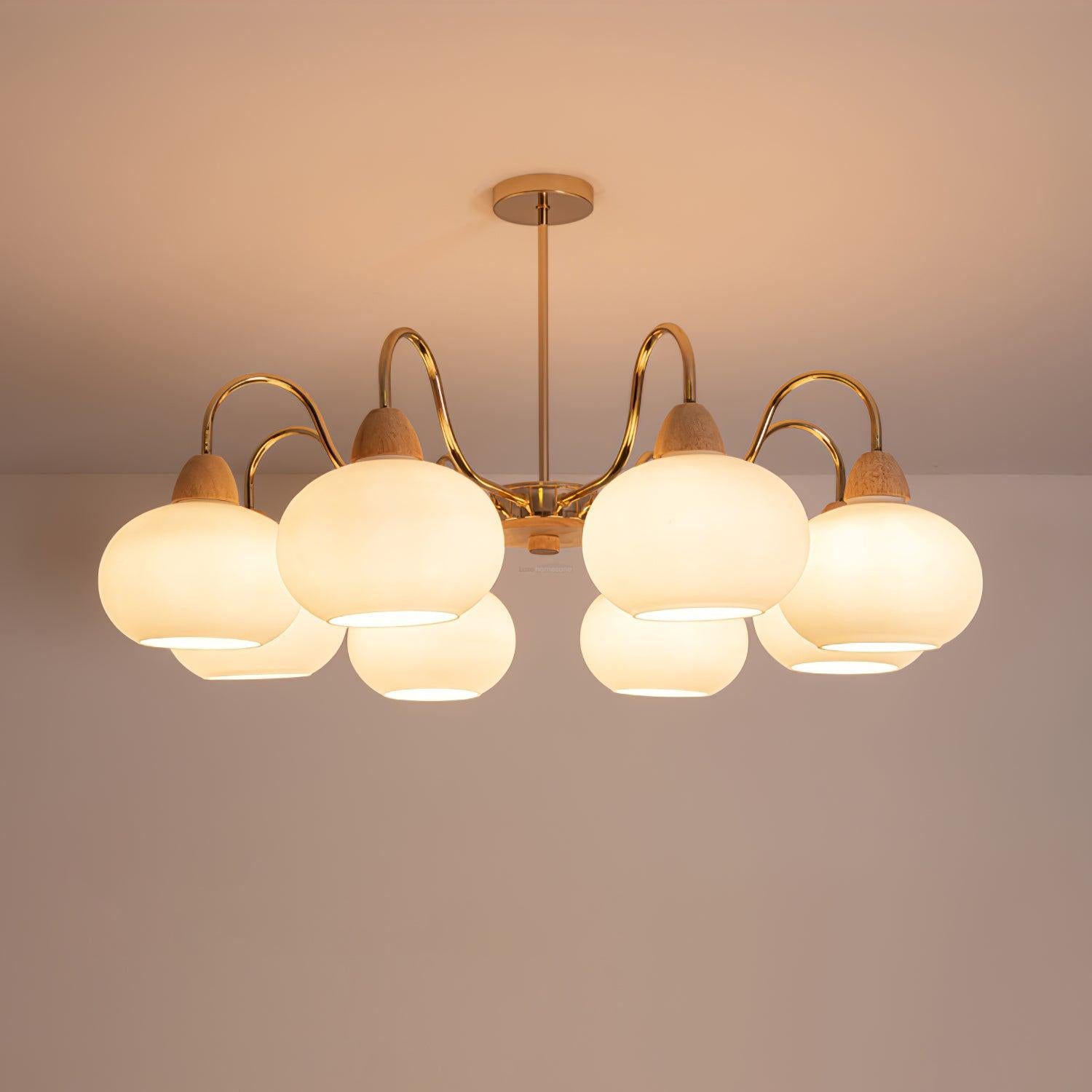 Glass Persimmon Chandelier with 3/5/6/8 heads-Sylvia Space
