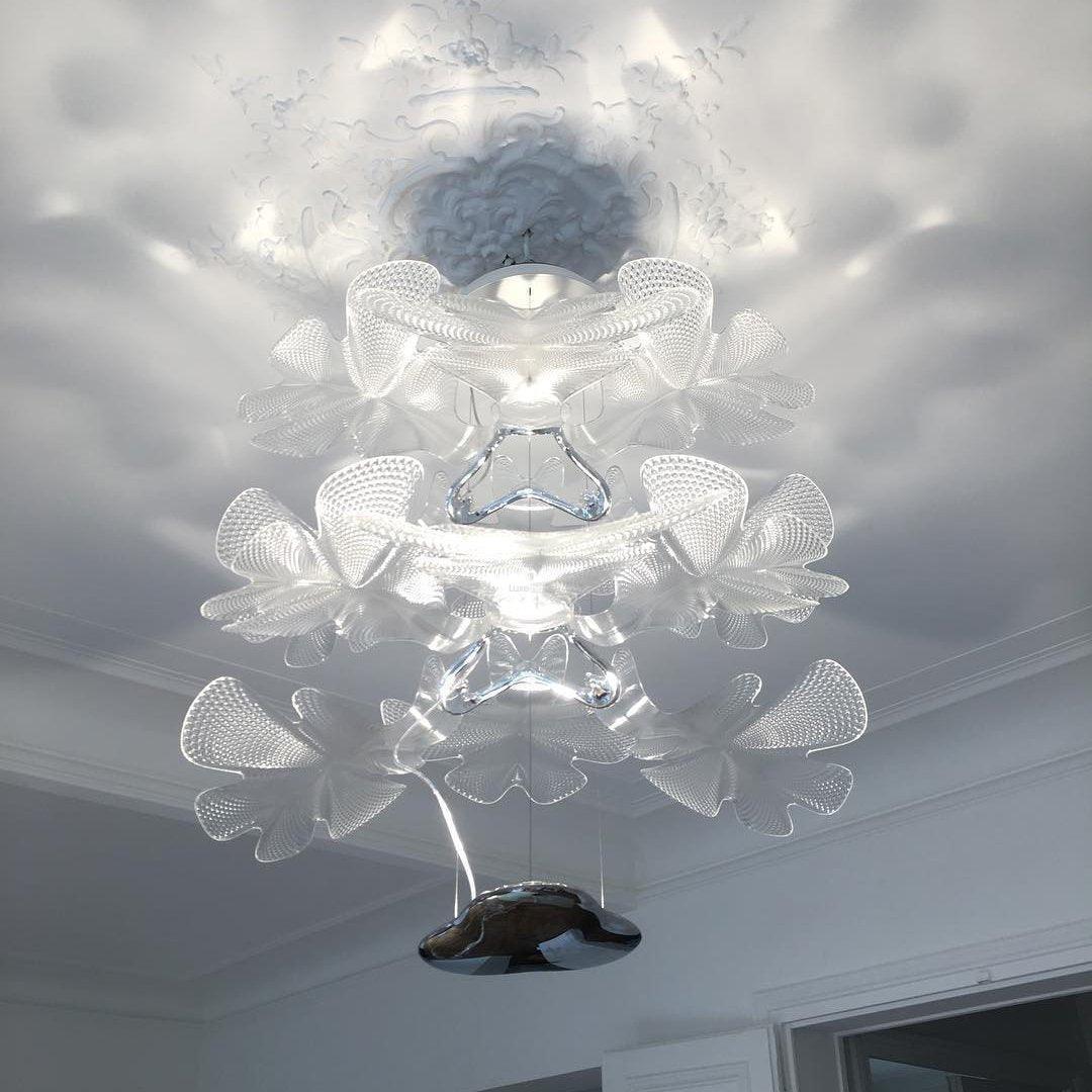 Chlorophilia Chandelier-Sylvia Space