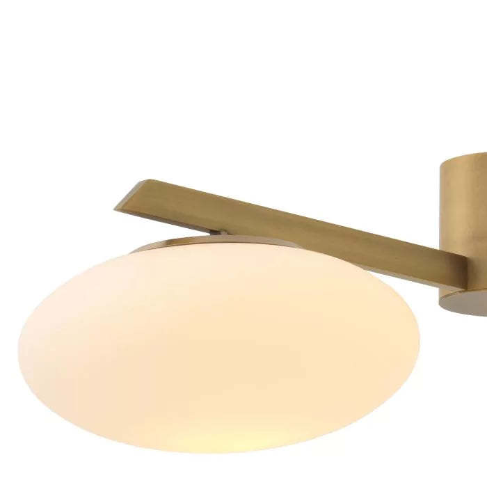 Evergreen S Modern Brass Chandelier - Eichholtz-Sylvia Space