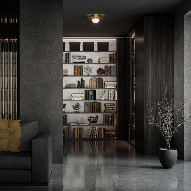 Landed Wall/ Ceiling Light