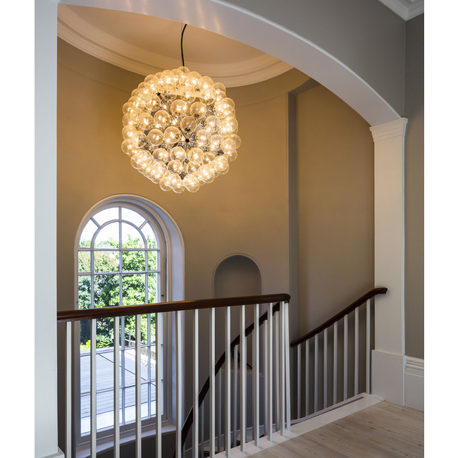 Taraxacum 88 Suspension