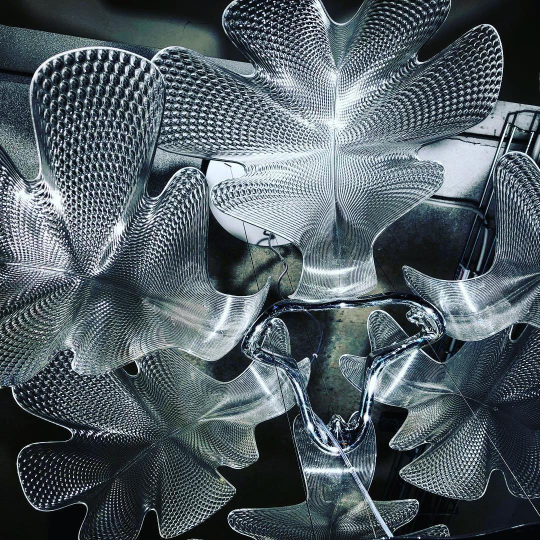 Chlorophilia Chandelier-Sylvia Space