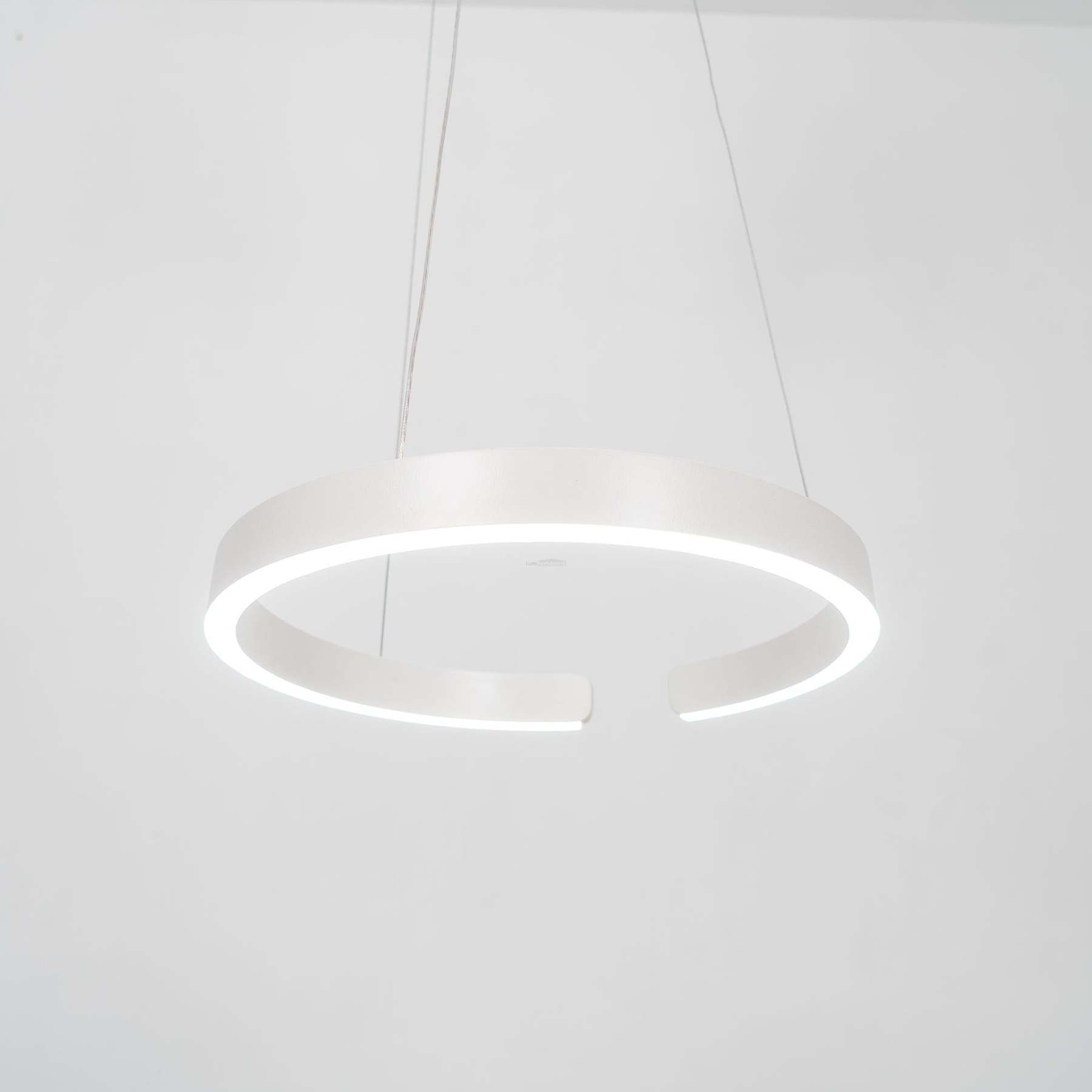 Circular Style Chandelier-Sylvia Space