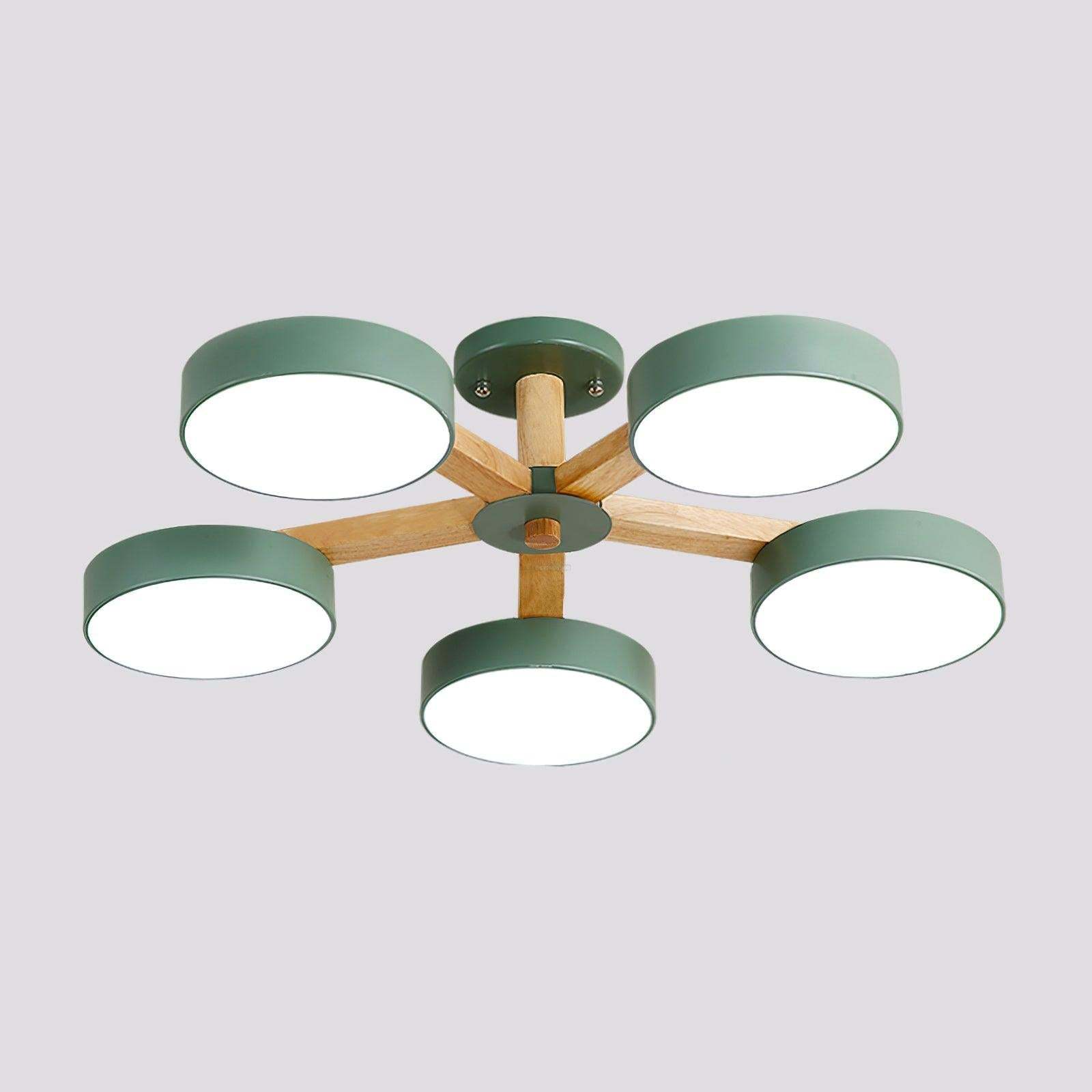 Modern Multi Stem Chandelier with 5/6/8 heads-Sylvia Space