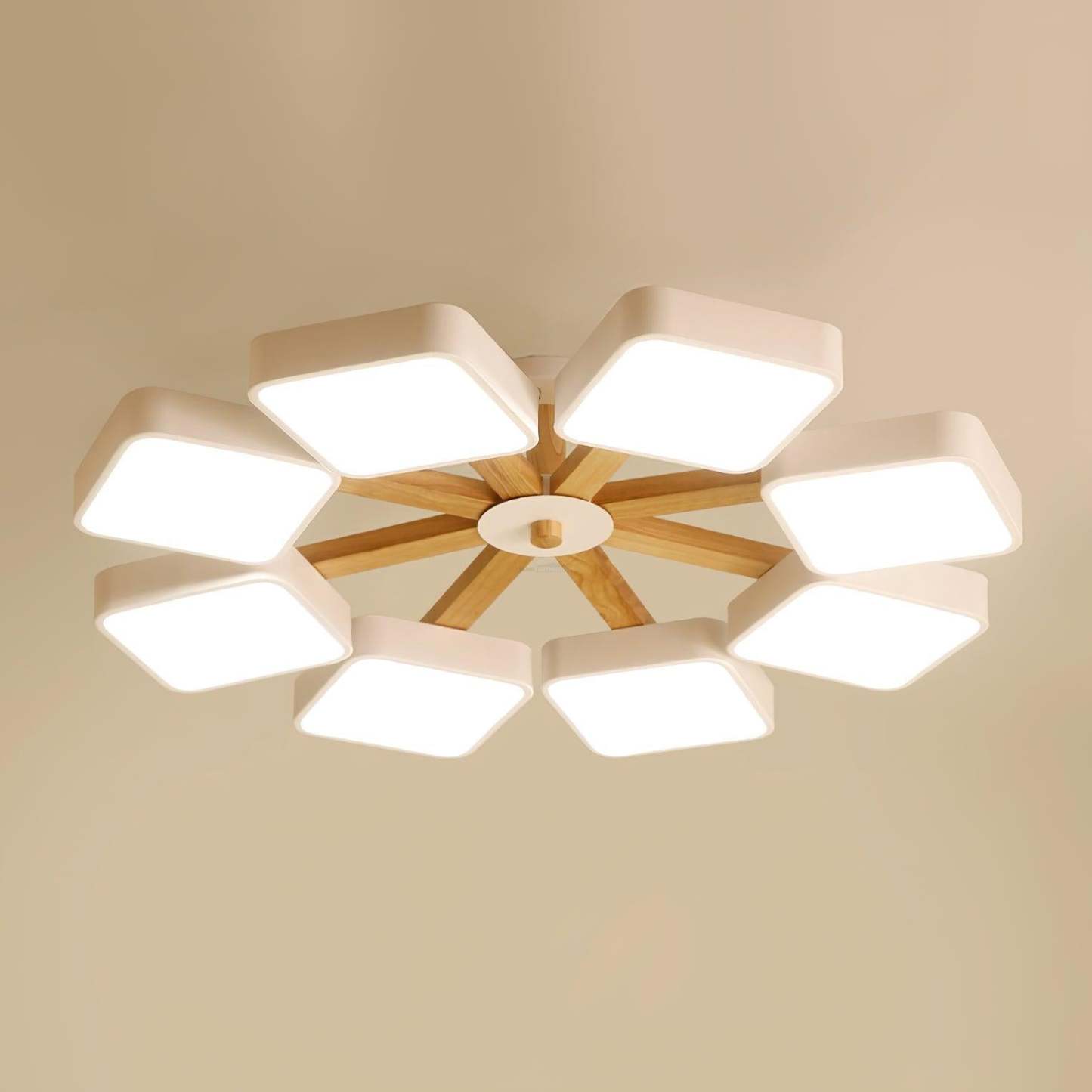 Modern Multi Stem Chandelier with 5/6/8 heads-Sylvia Space