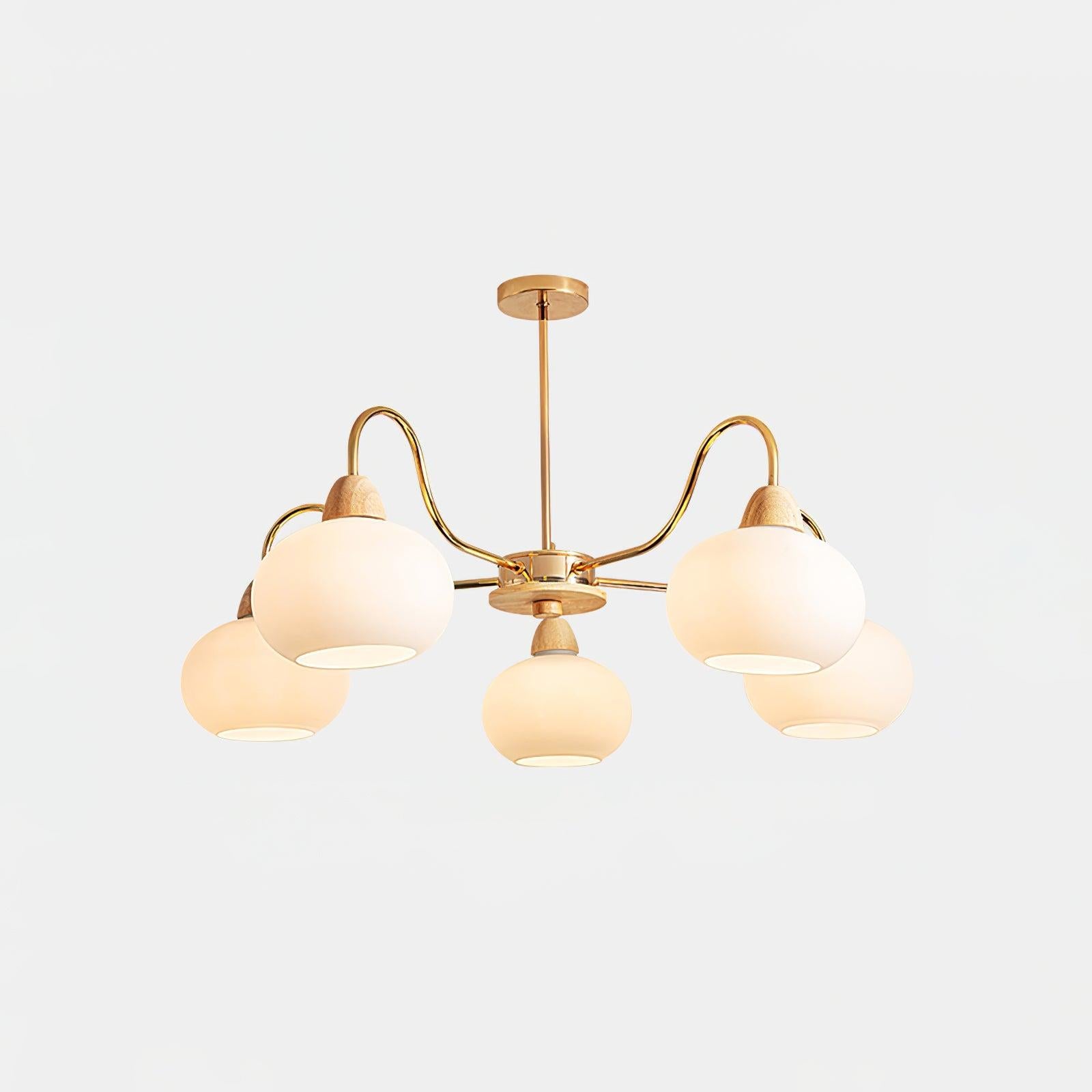 Glass Persimmon Chandelier with 3/5/6/8 heads-Sylvia Space