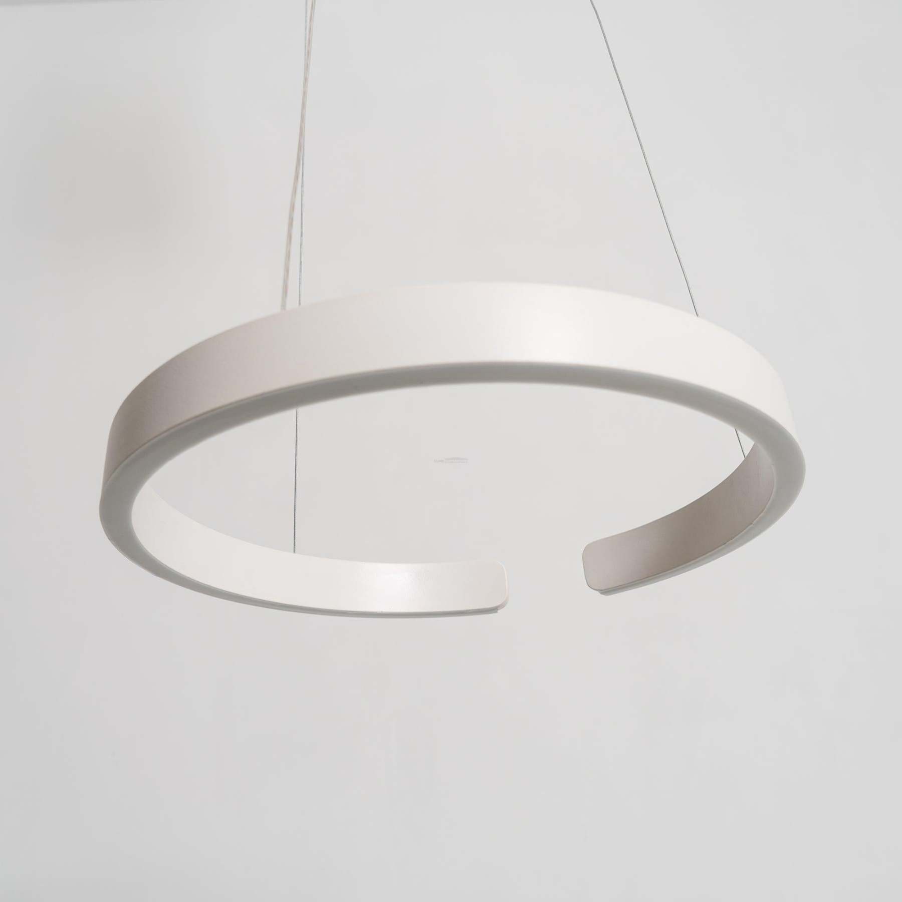 Circular Style Chandelier-Sylvia Space