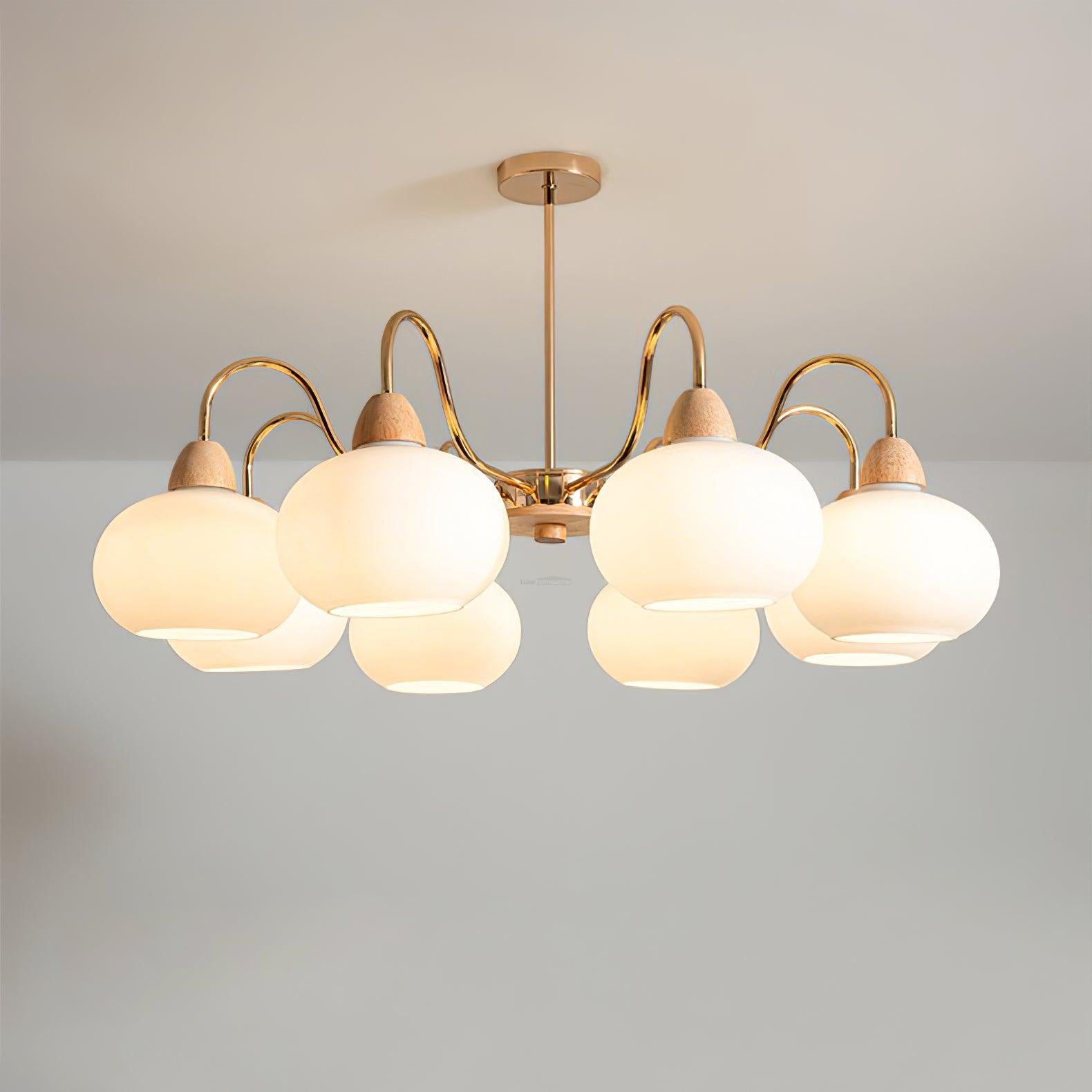 Glass Persimmon Chandelier with 3/5/6/8 heads-Sylvia Space