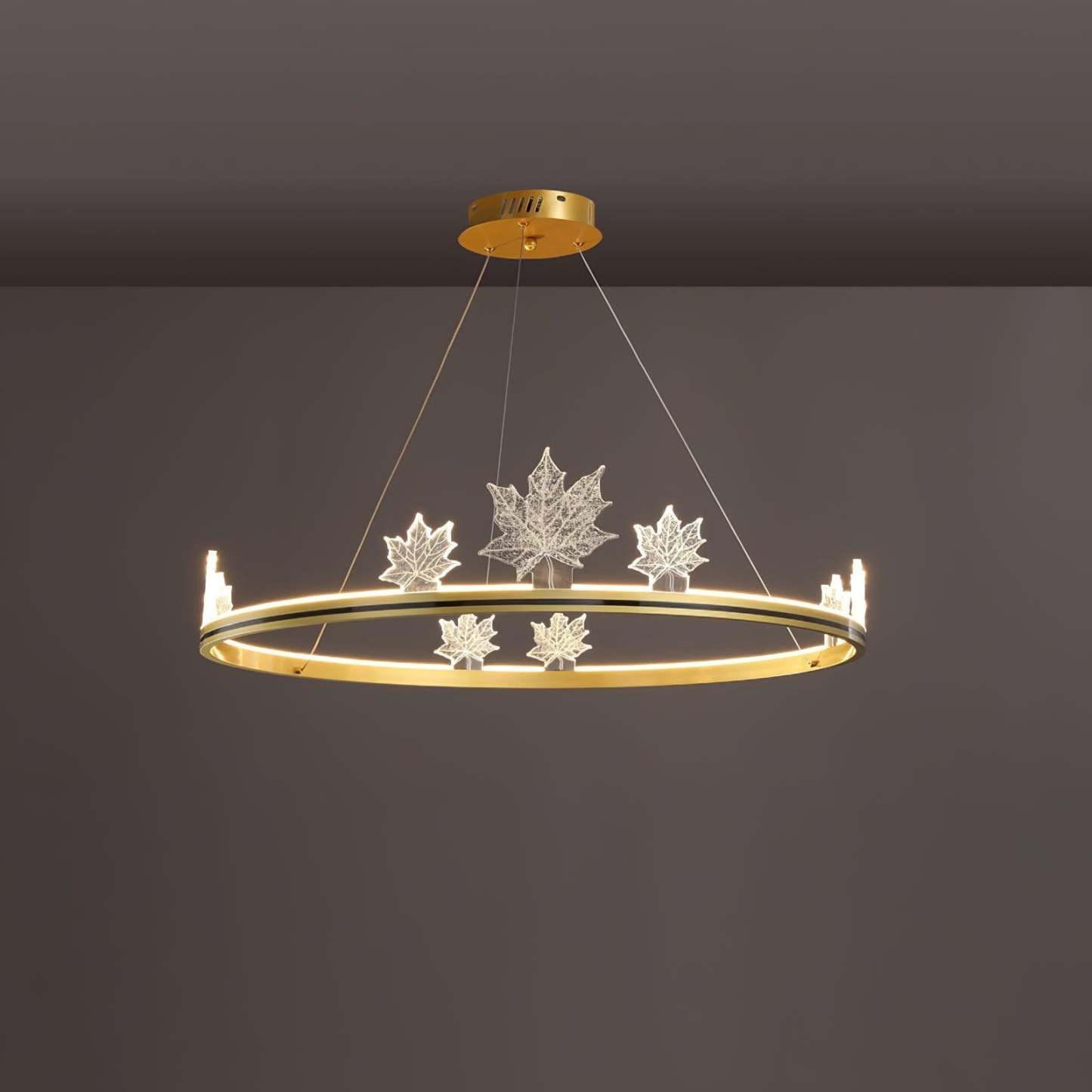 Ion Leaf Ring Chandelier-Sylvia Space