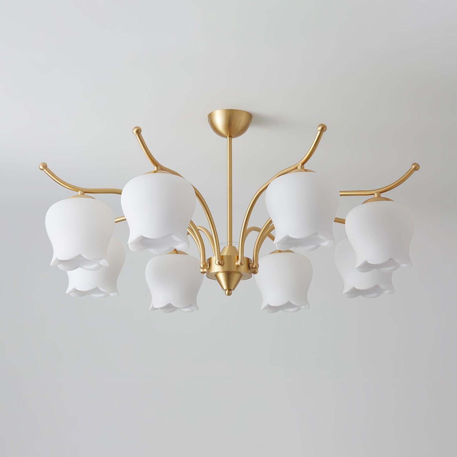 Tulip Brass Chandelier with 3/6/8 heads-Sylvia Space