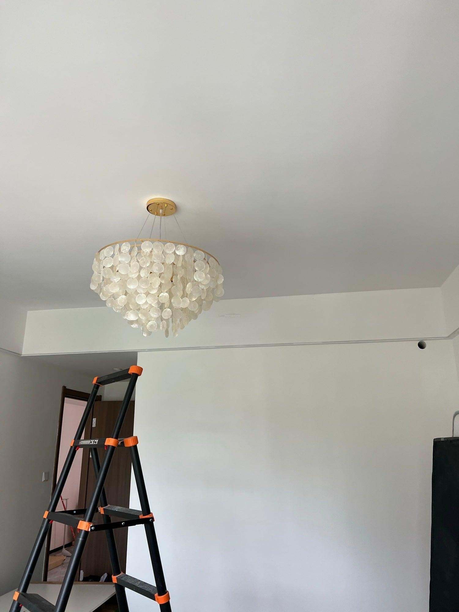 Shell Wind Chime Chandelier ∅ 19.7″-Sylvia Space